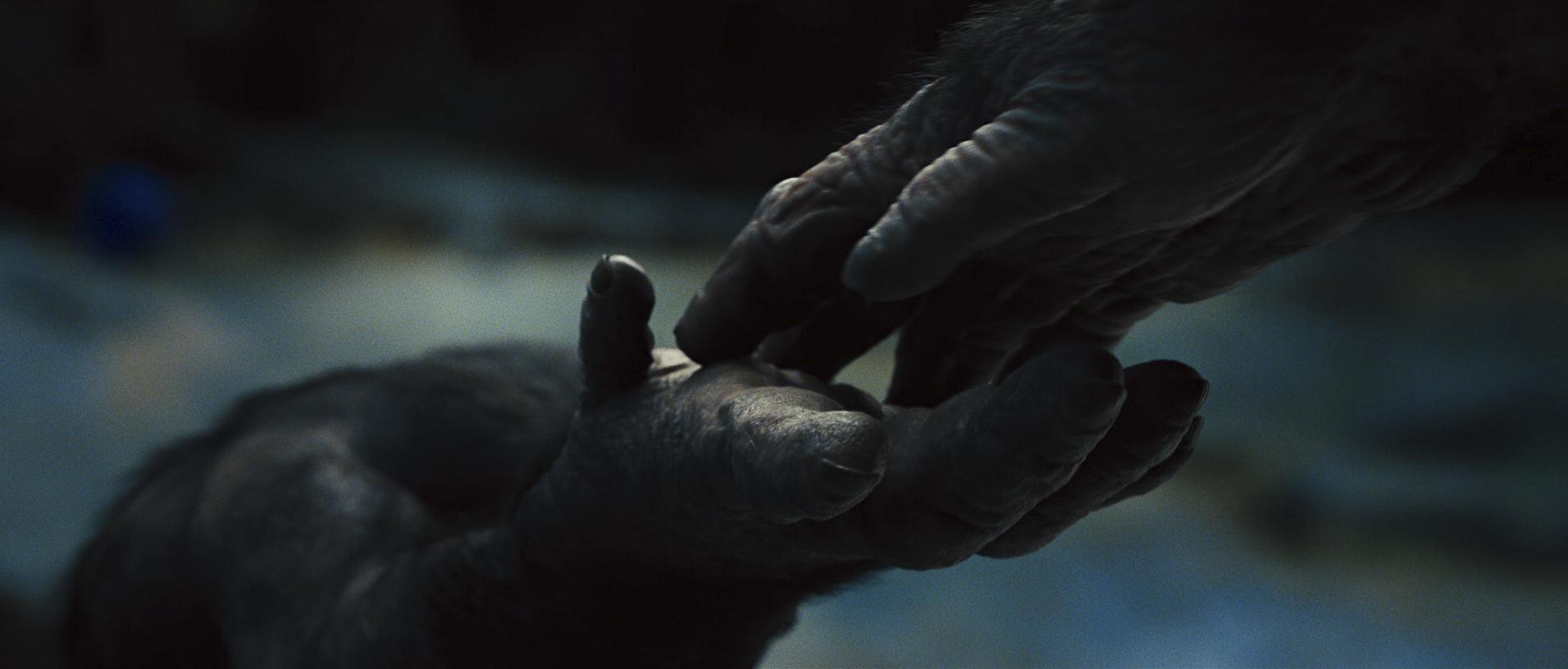 Rise of the Planet of the Apes (2011) —  shot,  lighting