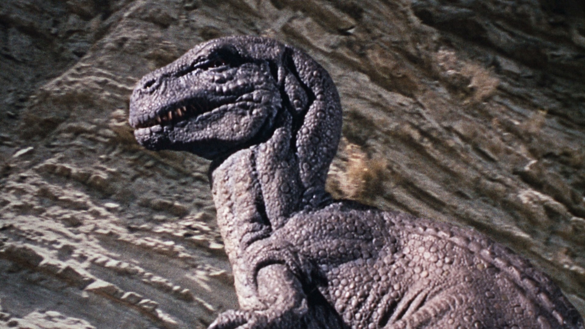 The Valley of Gwangi (1969) —  shot,  lighting