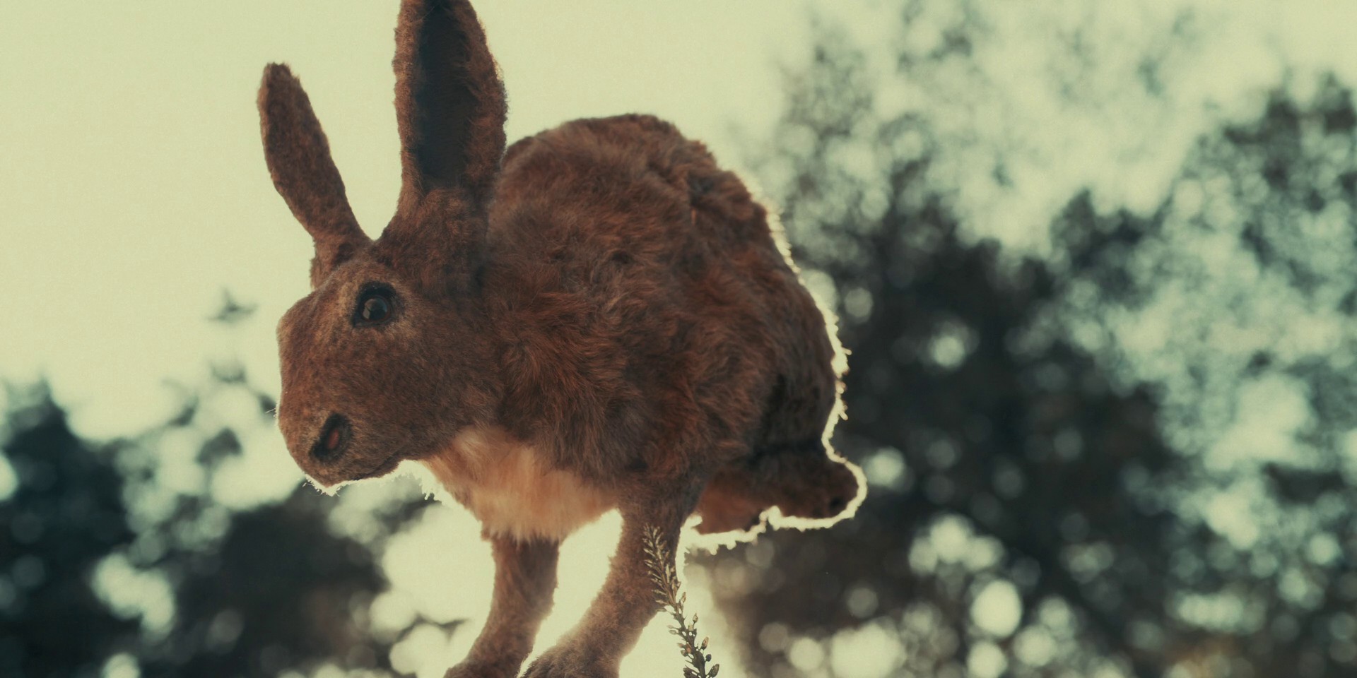 Bus Stop (2021) —  shot,  lighting