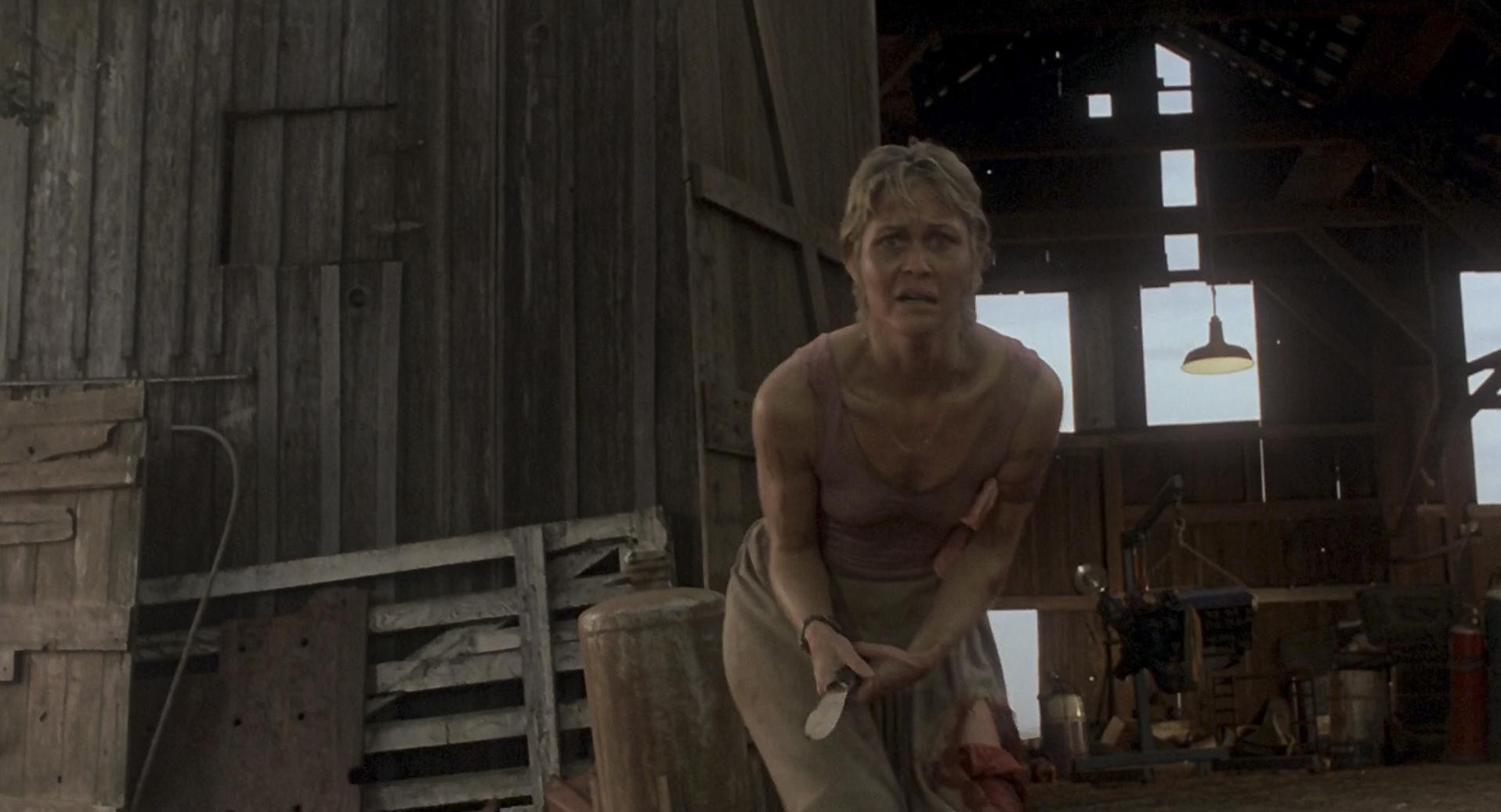 Cujo (1983) —  shot,  lighting