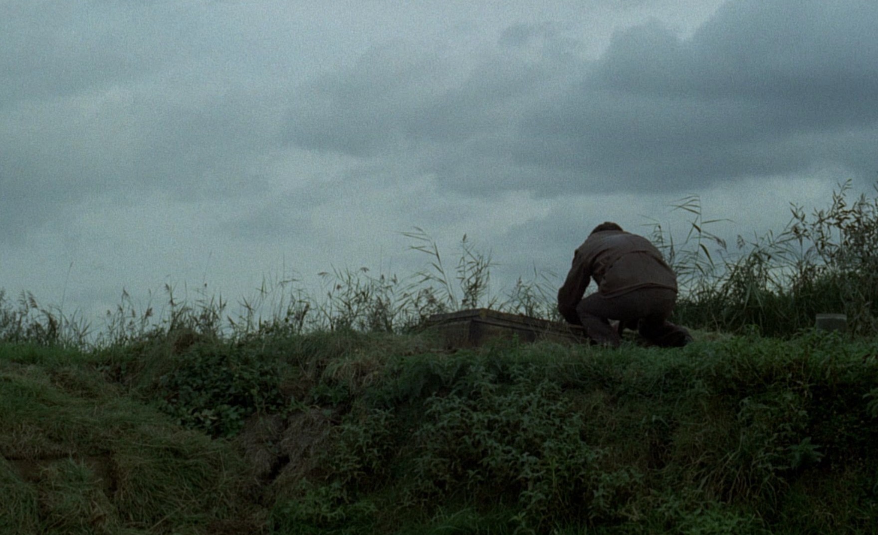 La horse (1970) —  shot,  lighting