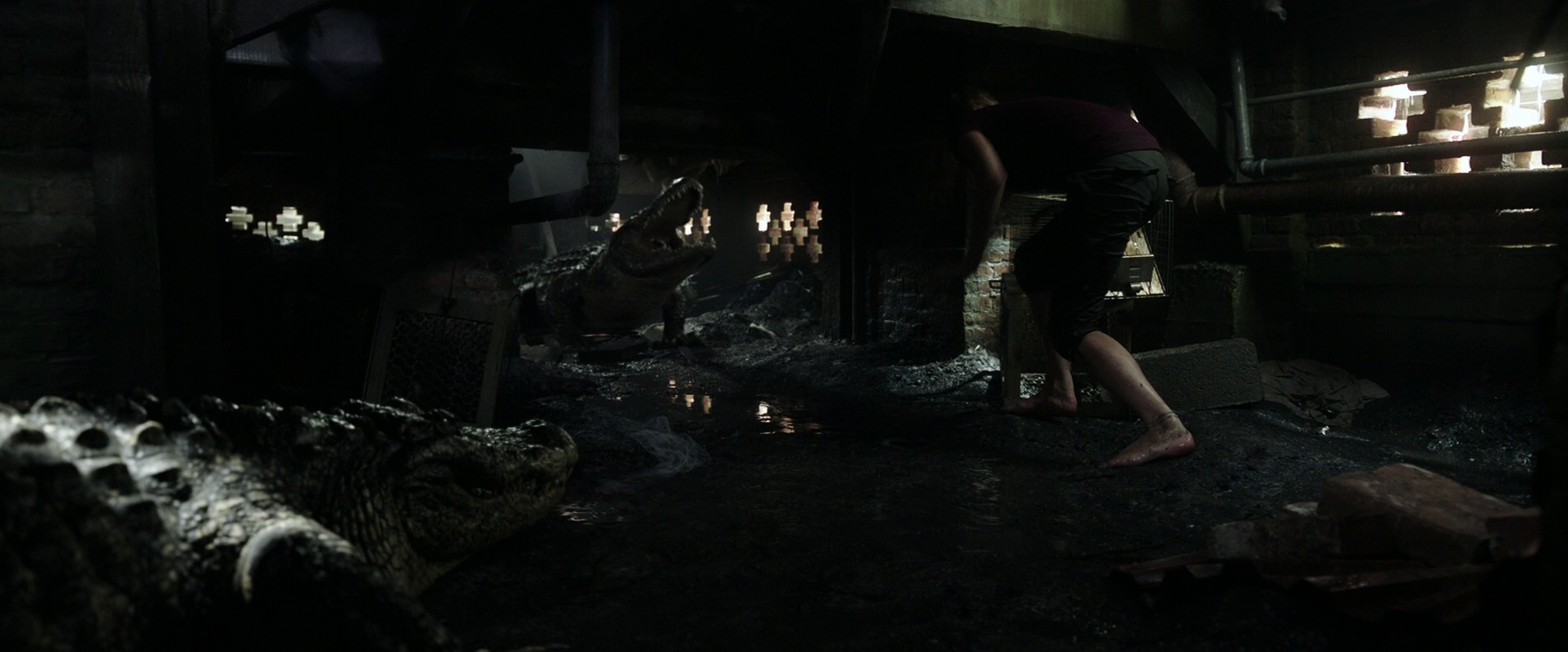 Crawl (2019) —  shot,  lighting
