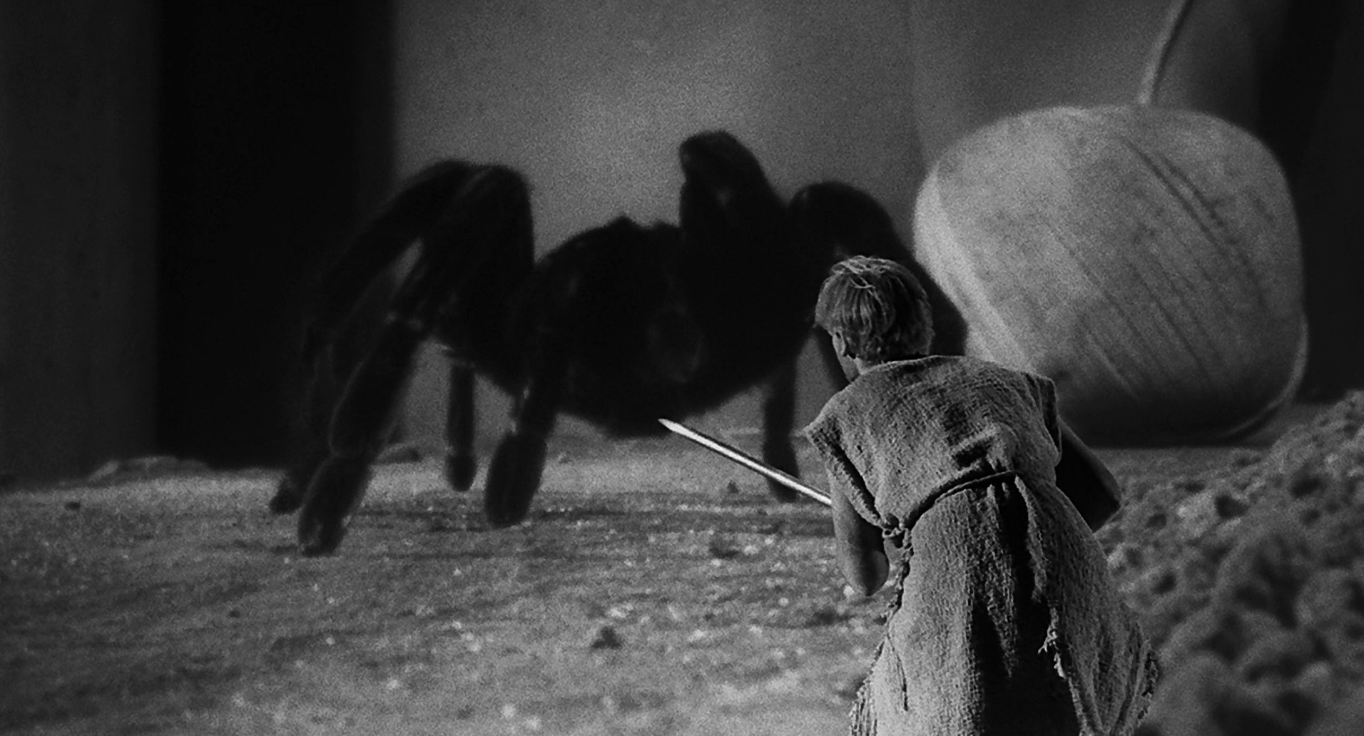 The Incredible Shrinking Man (1957) —  shot,  lighting