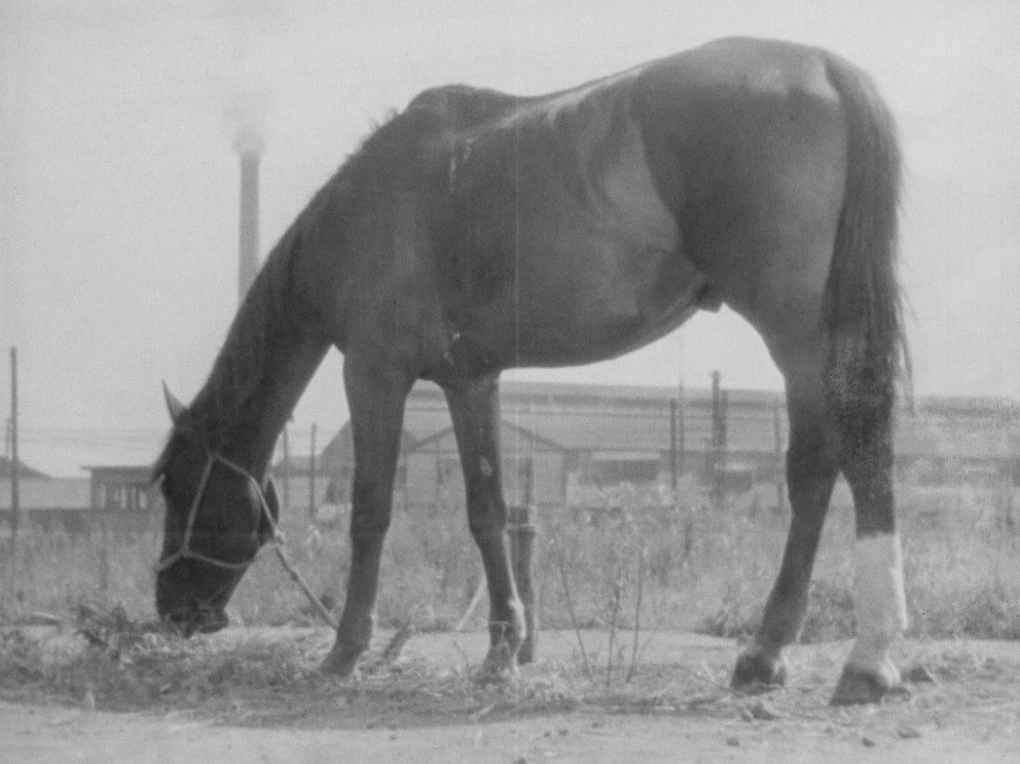 The Only Son (1936) —  shot,  lighting