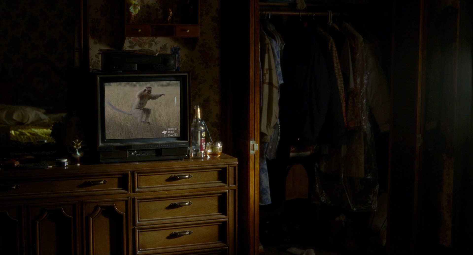 St. Vincent (2014) —  shot,  lighting