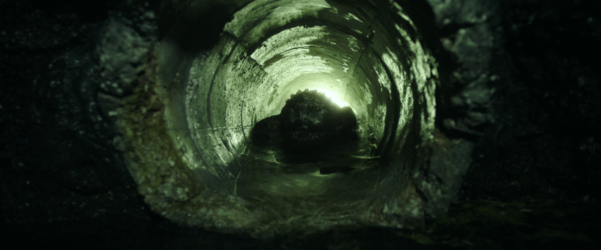 Crawl (2019) —  shot,  lighting