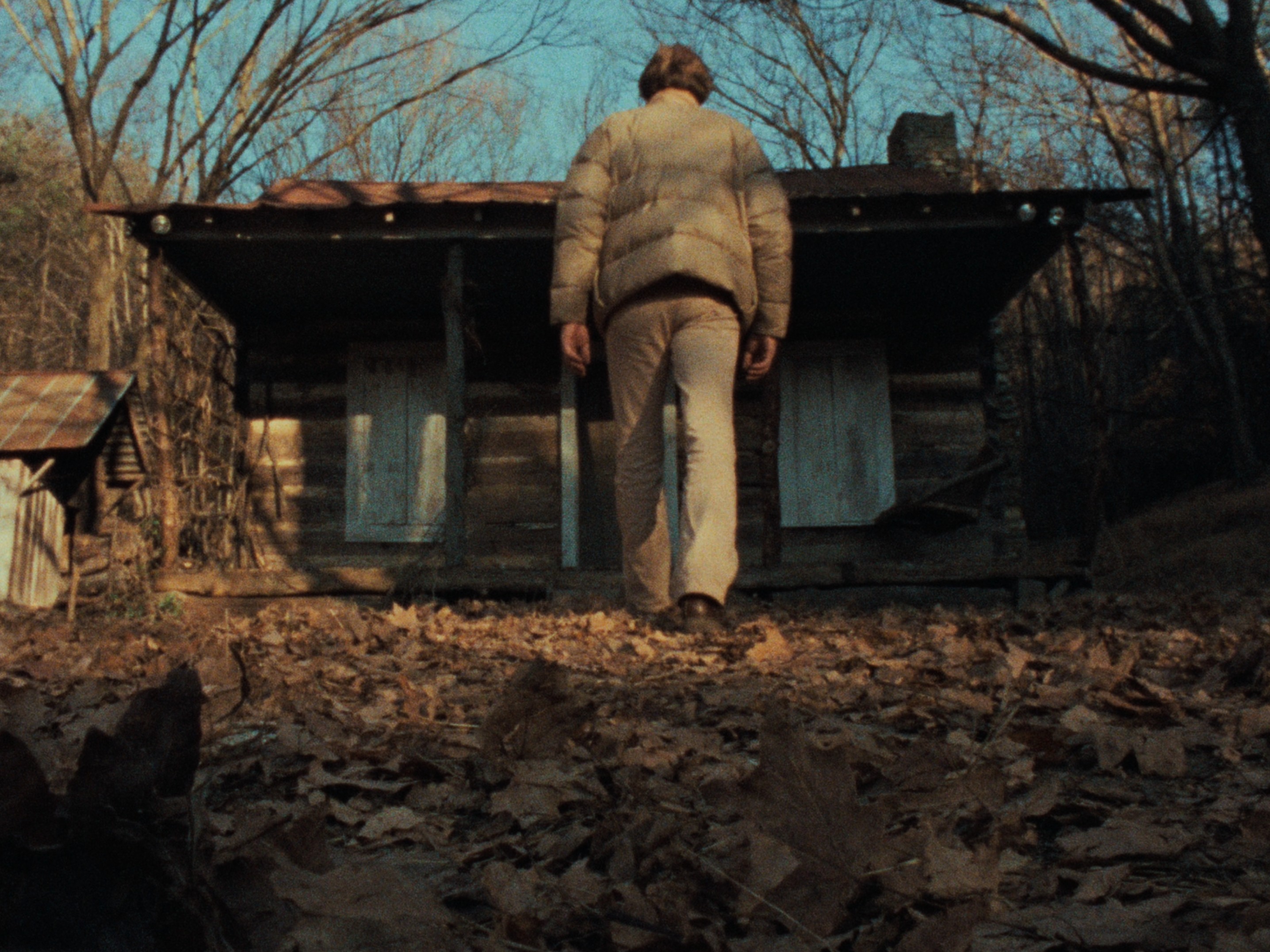 The Evil Dead (1981) —  shot,  lighting