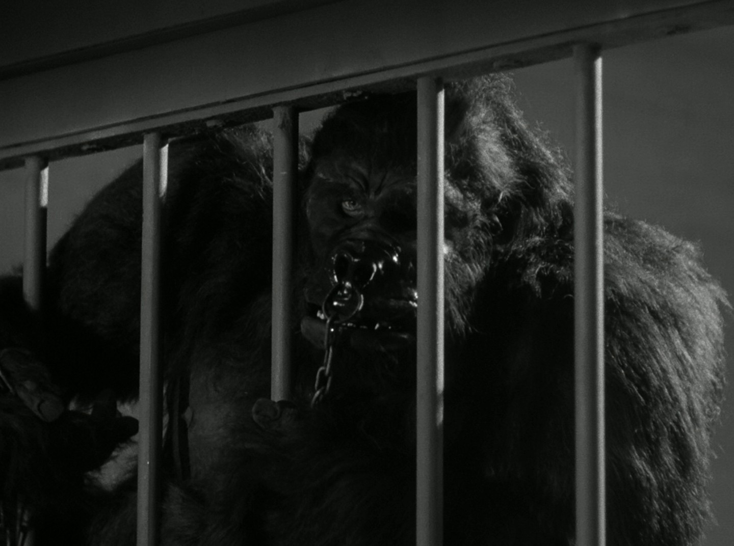 The Strange Case of Doctor Rx (1942) —  shot,  lighting