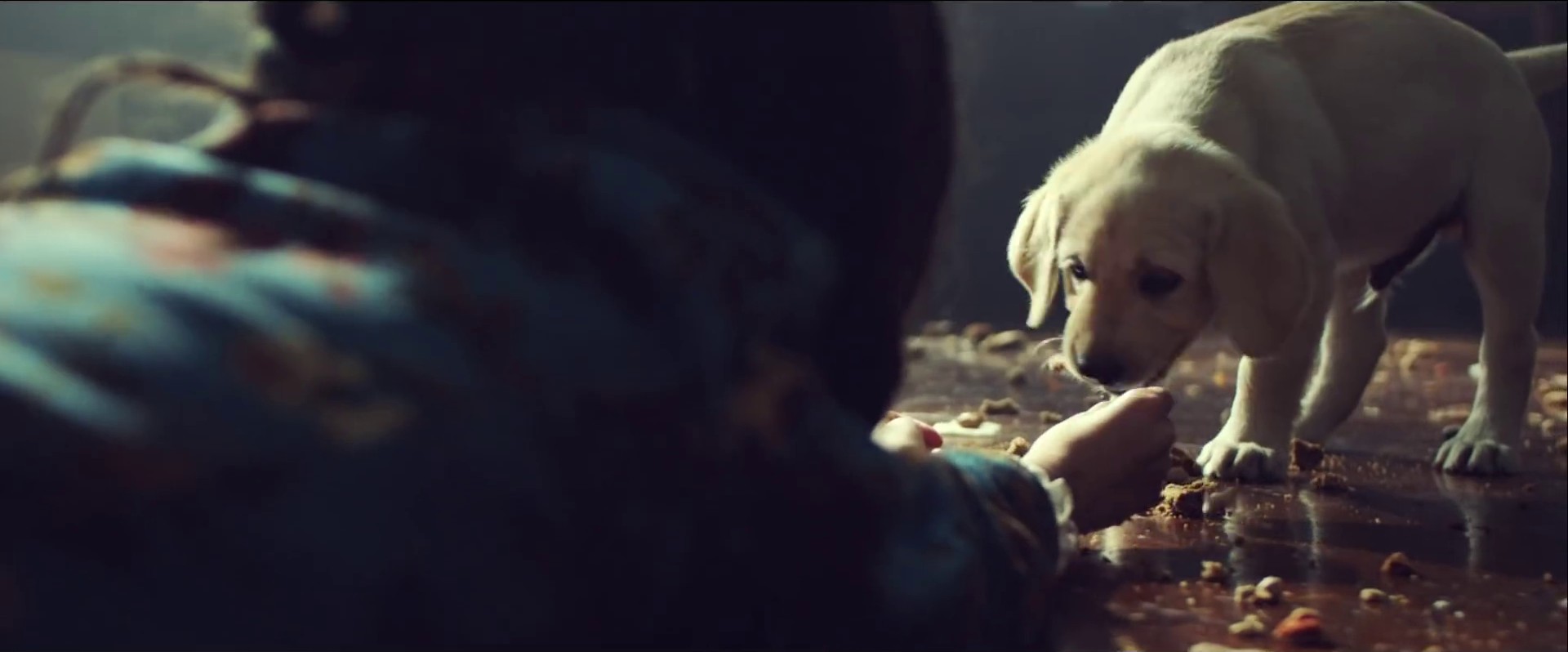 Kiwi (2017) —  shot,  lighting