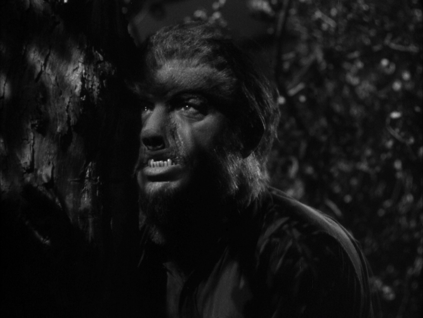 Frankenstein Meets the Wolf Man (1943) —  shot,  lighting
