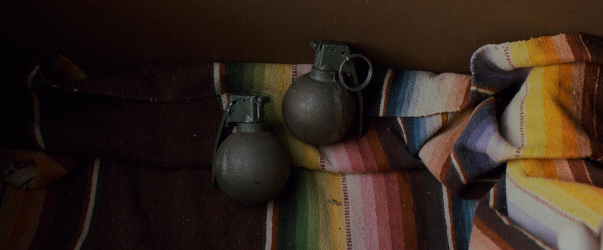 The Guest (2014) —  shot,  lighting