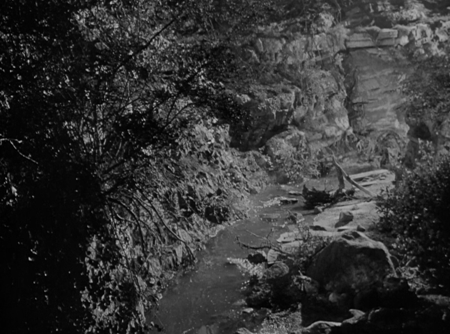 Man Hunt (1941) —  shot,  lighting