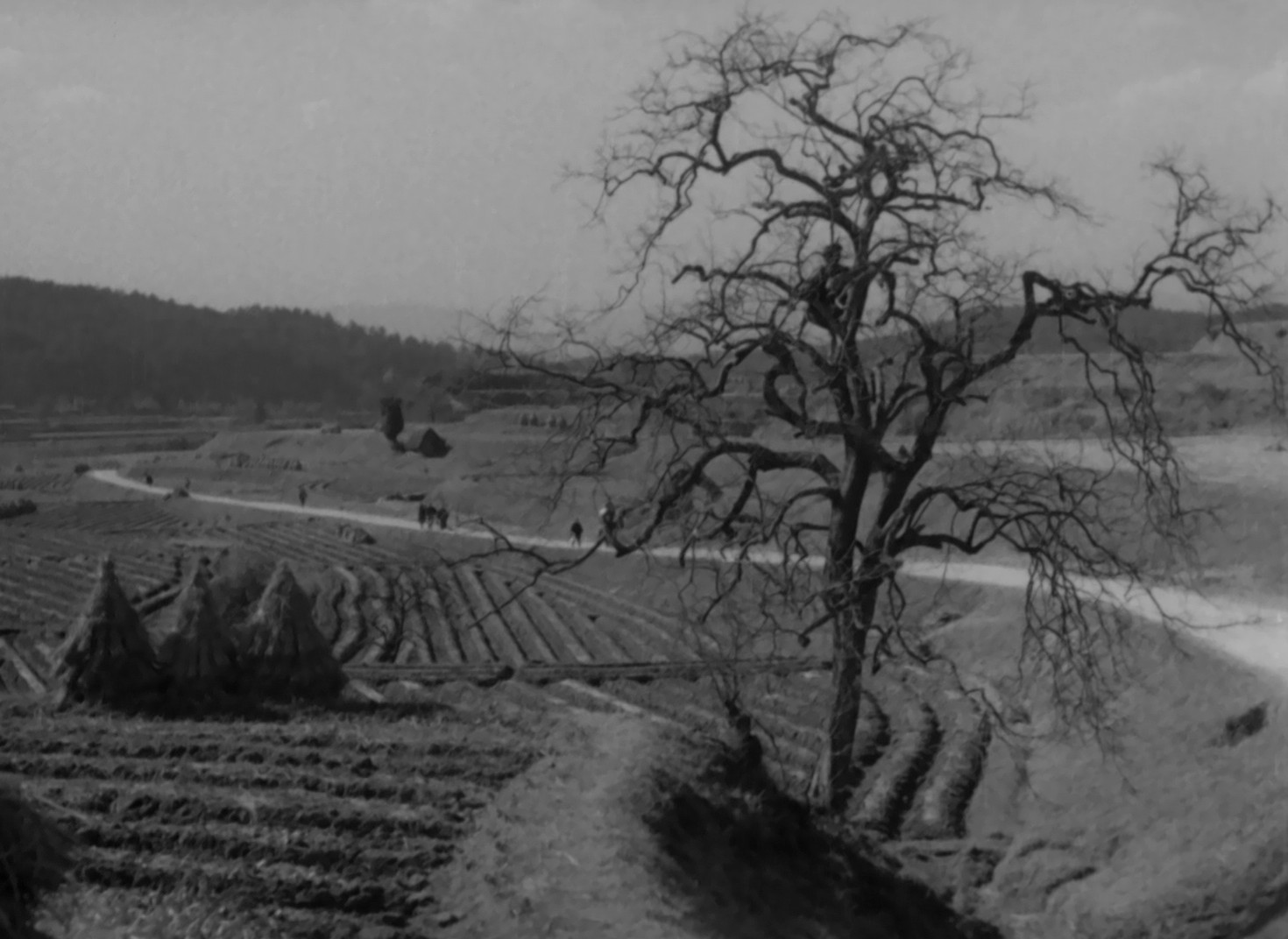 Chiyari Fuji (1955) —  shot,  lighting