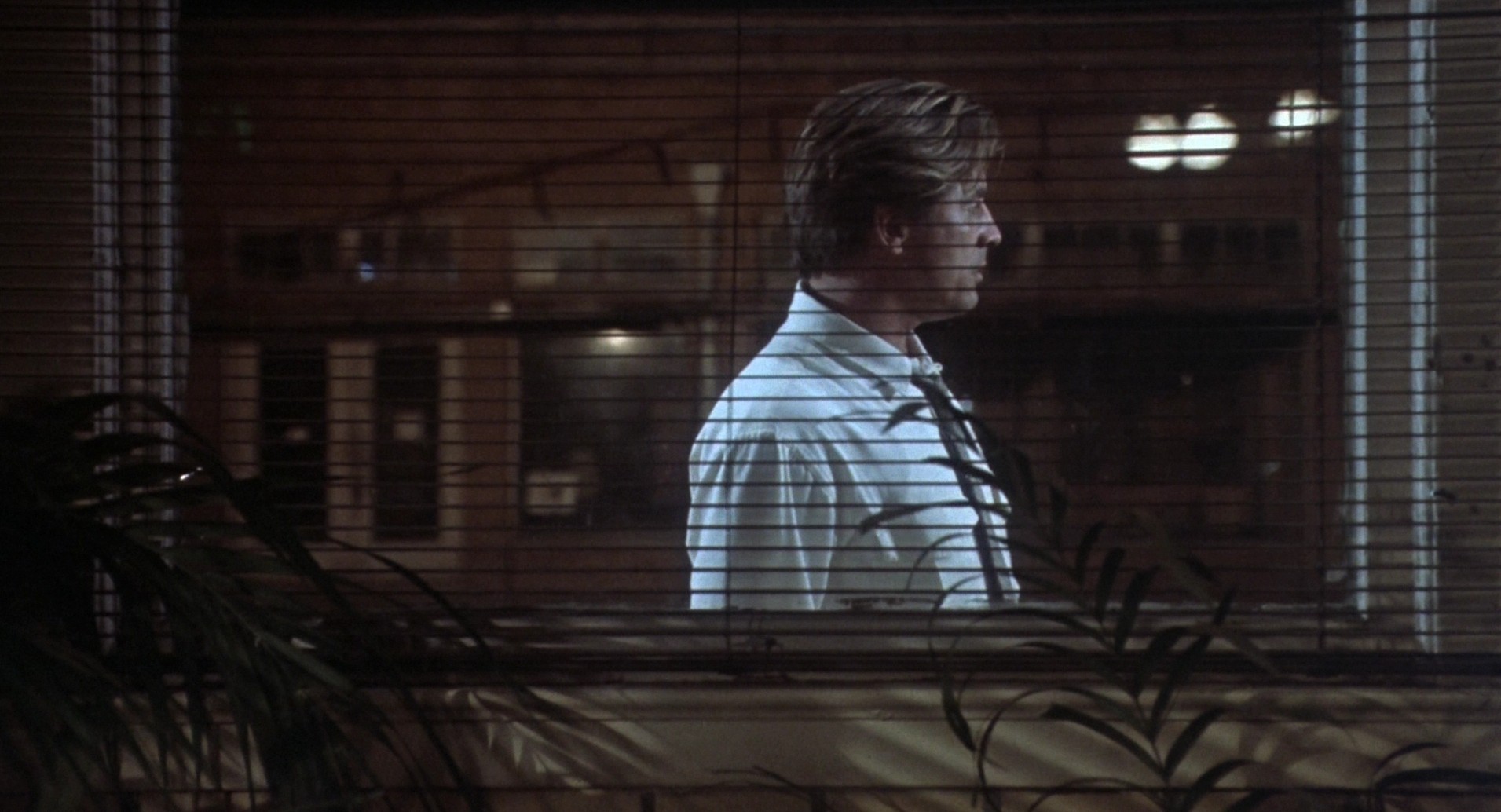 The Hot Spot (1990) —  shot,  lighting