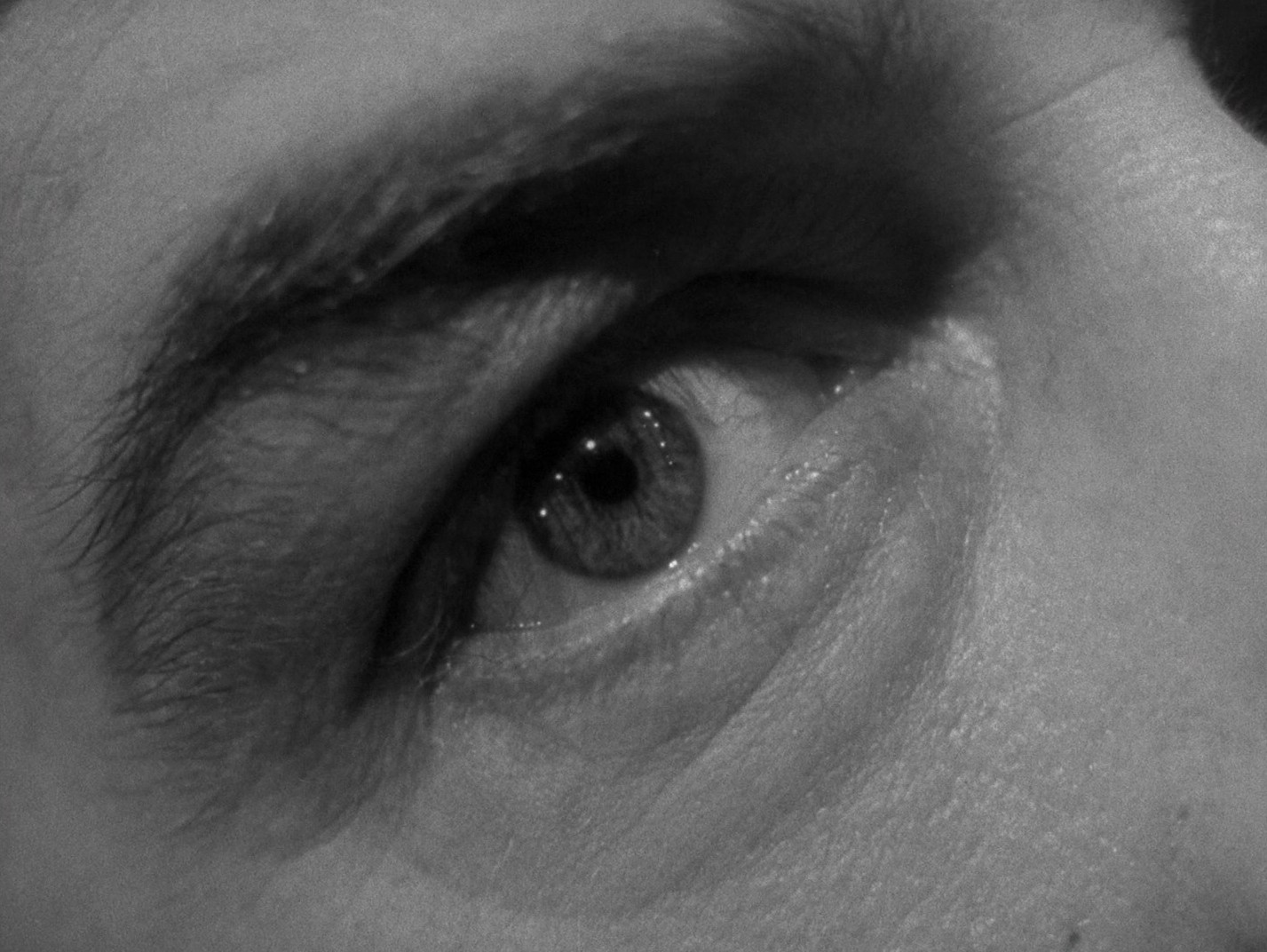 The Lost Weekend (1945) —  shot,  lighting