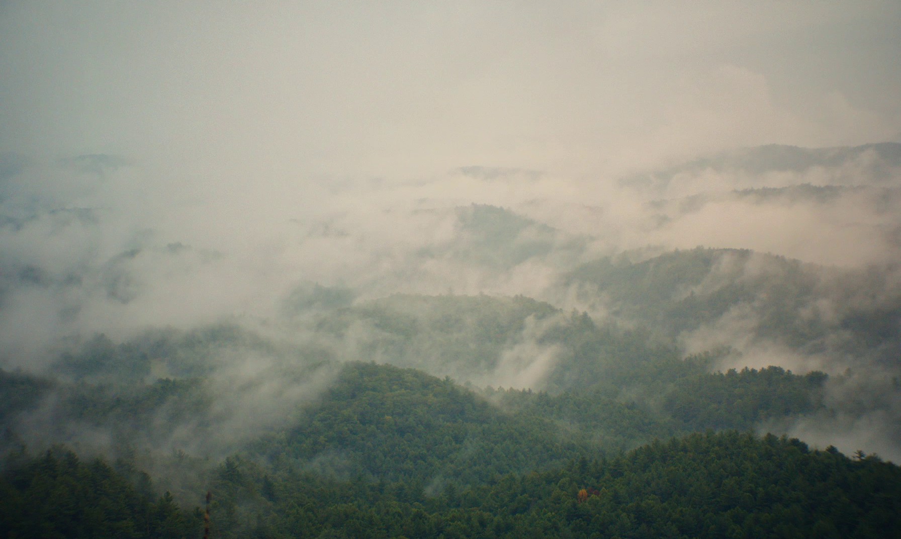 Mountain Rest (2018) —  shot,  lighting