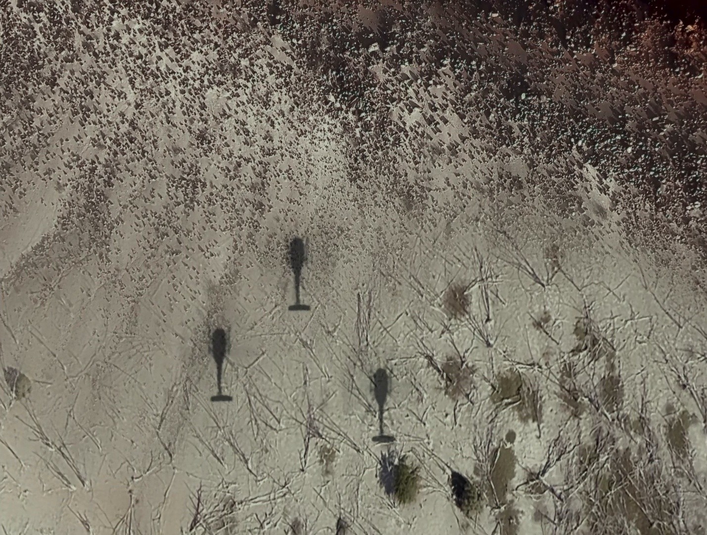 Pepe (2024) —  shot,  lighting