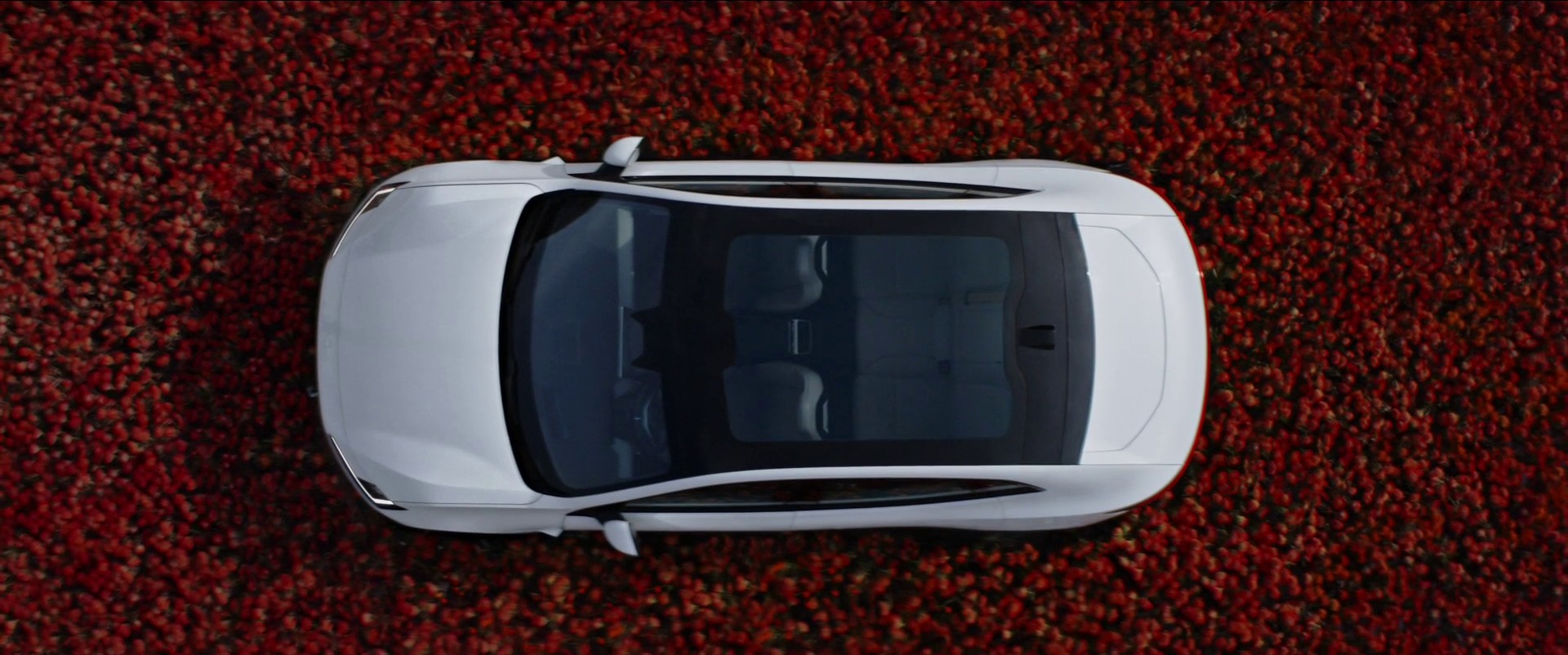 Polestar - Polestar 4 (2024) —  shot,  lighting