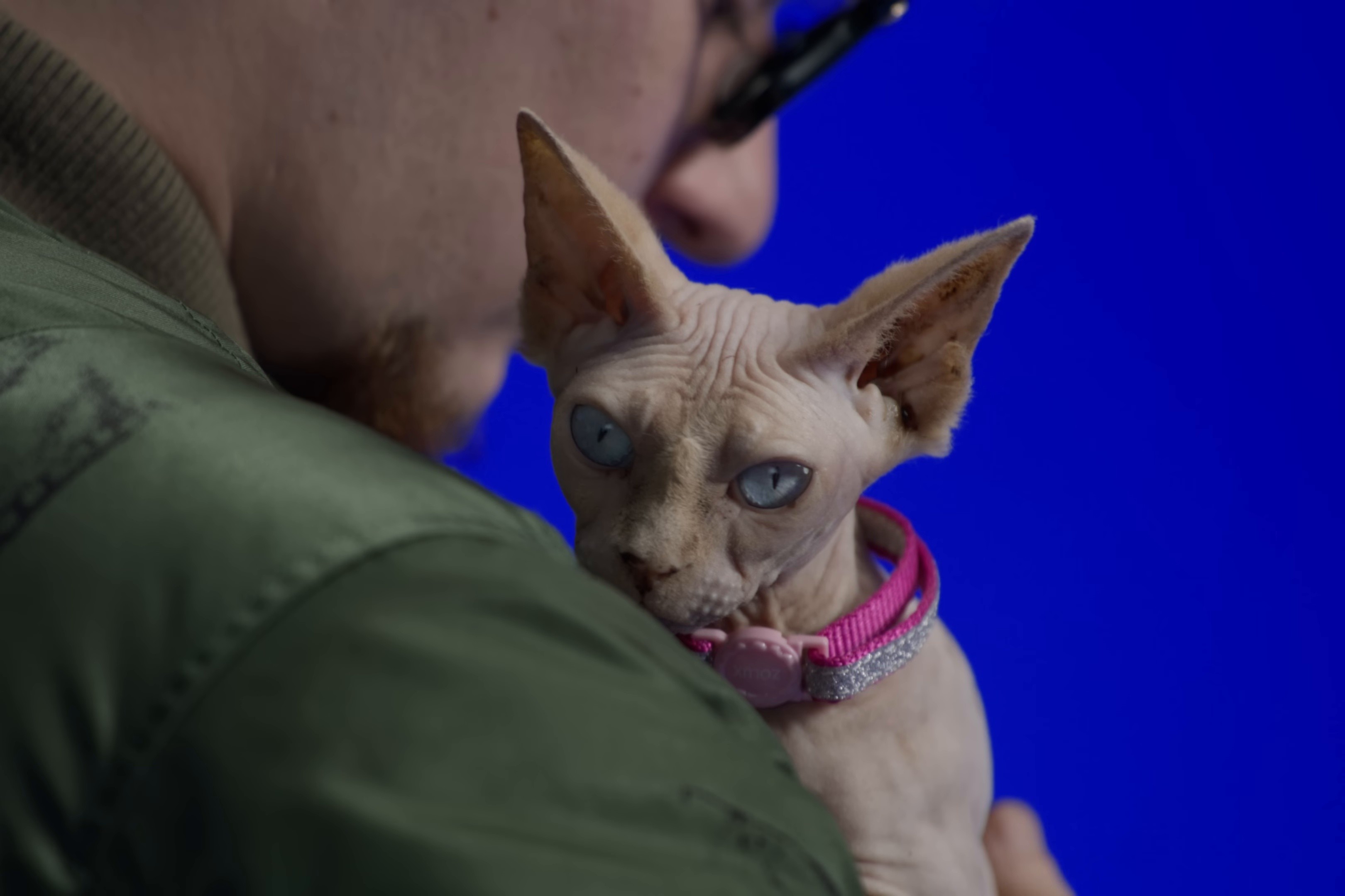  17 TEUDY  (2024) —  shot,  lighting