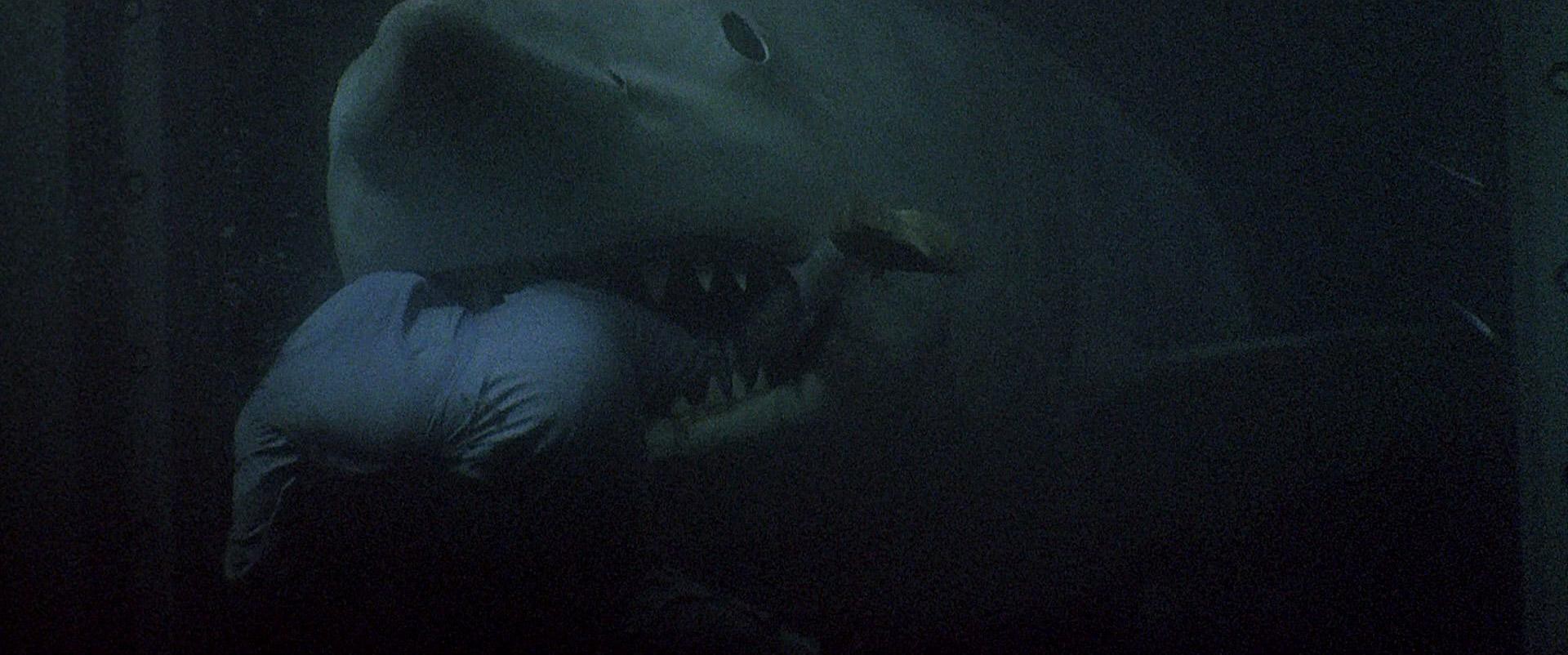 Jaws 3-D (1983) —  shot,  lighting
