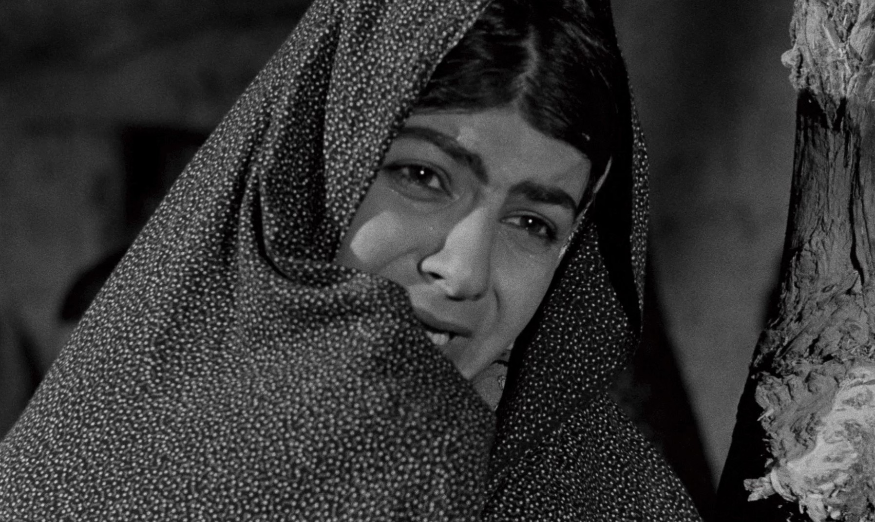 Gaav (1971) —  shot,  lighting