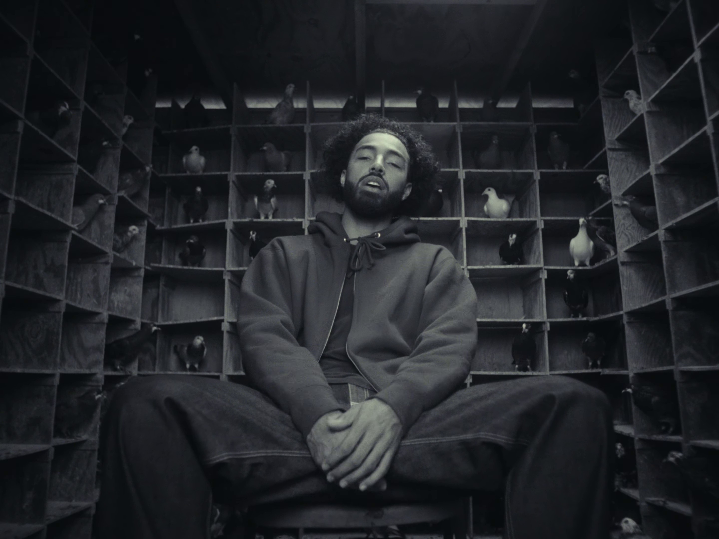 Red Roses (2024) —  shot,  lighting