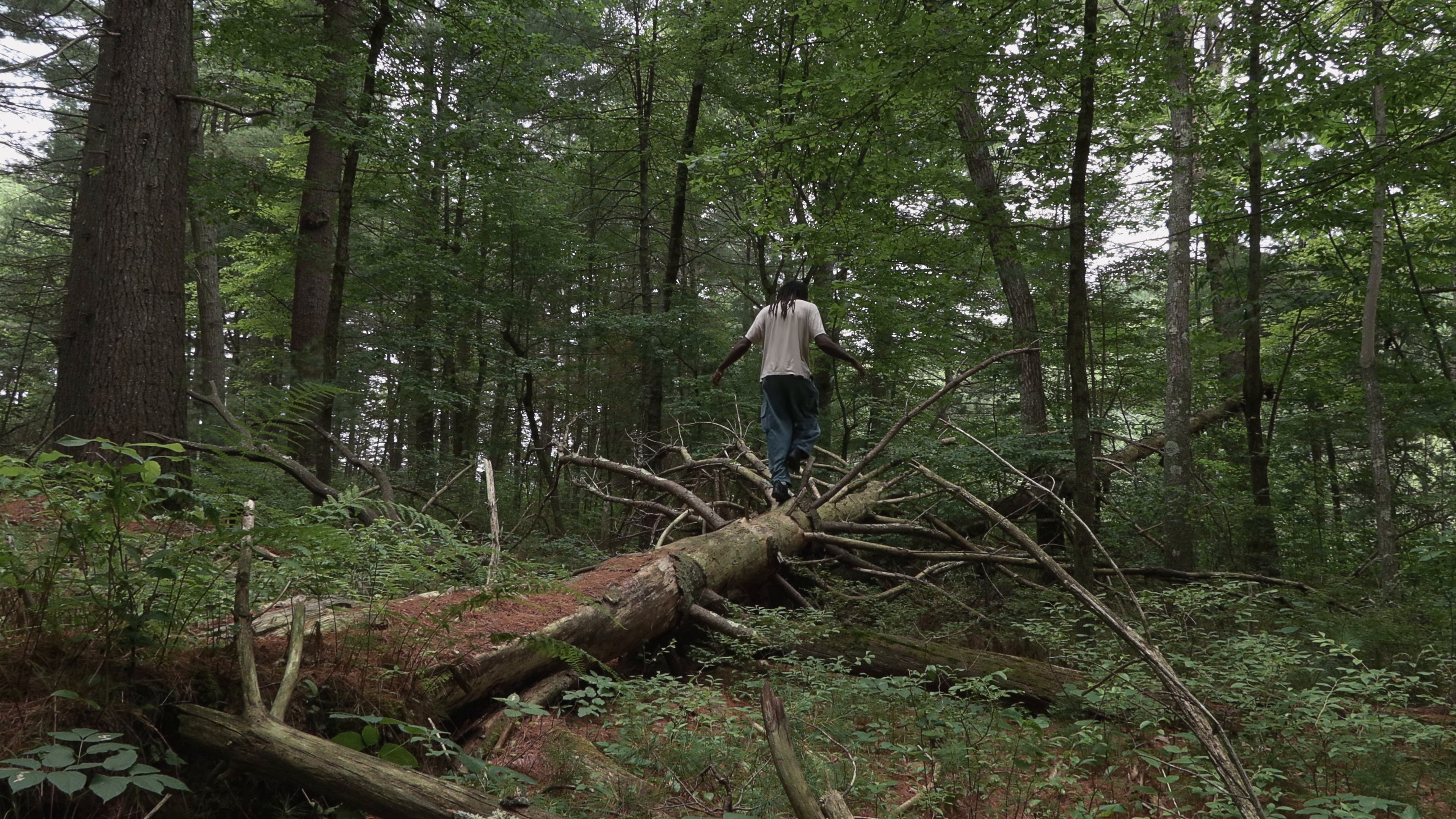 As Tendrils of Smoke (2024) —  shot,  lighting