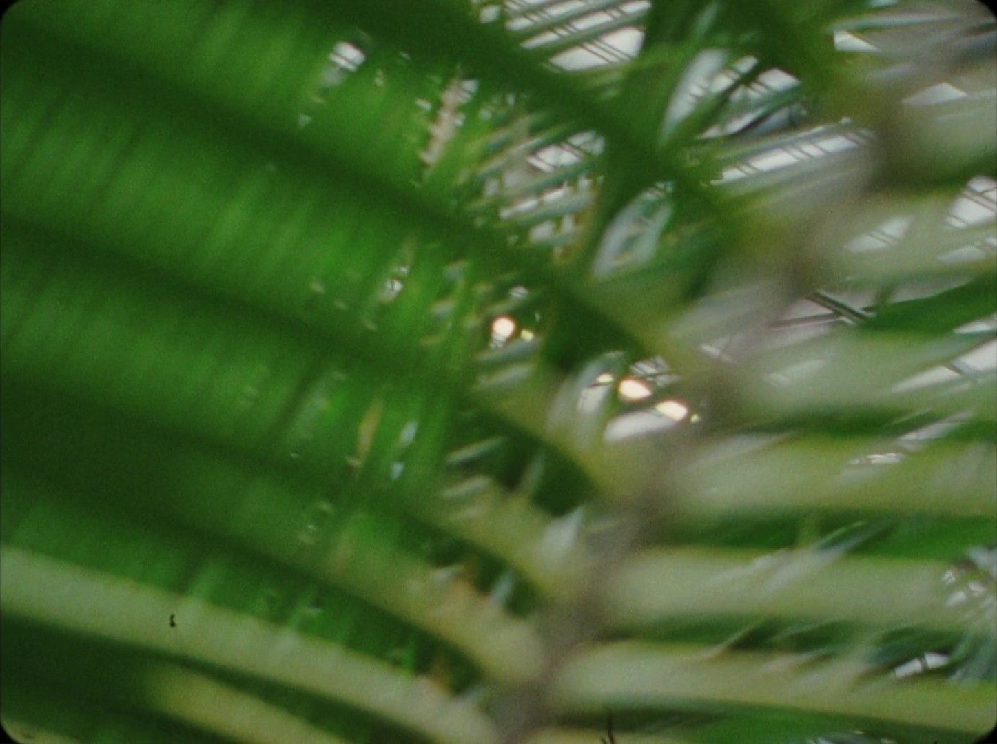 New house  (2020) —  shot,  lighting