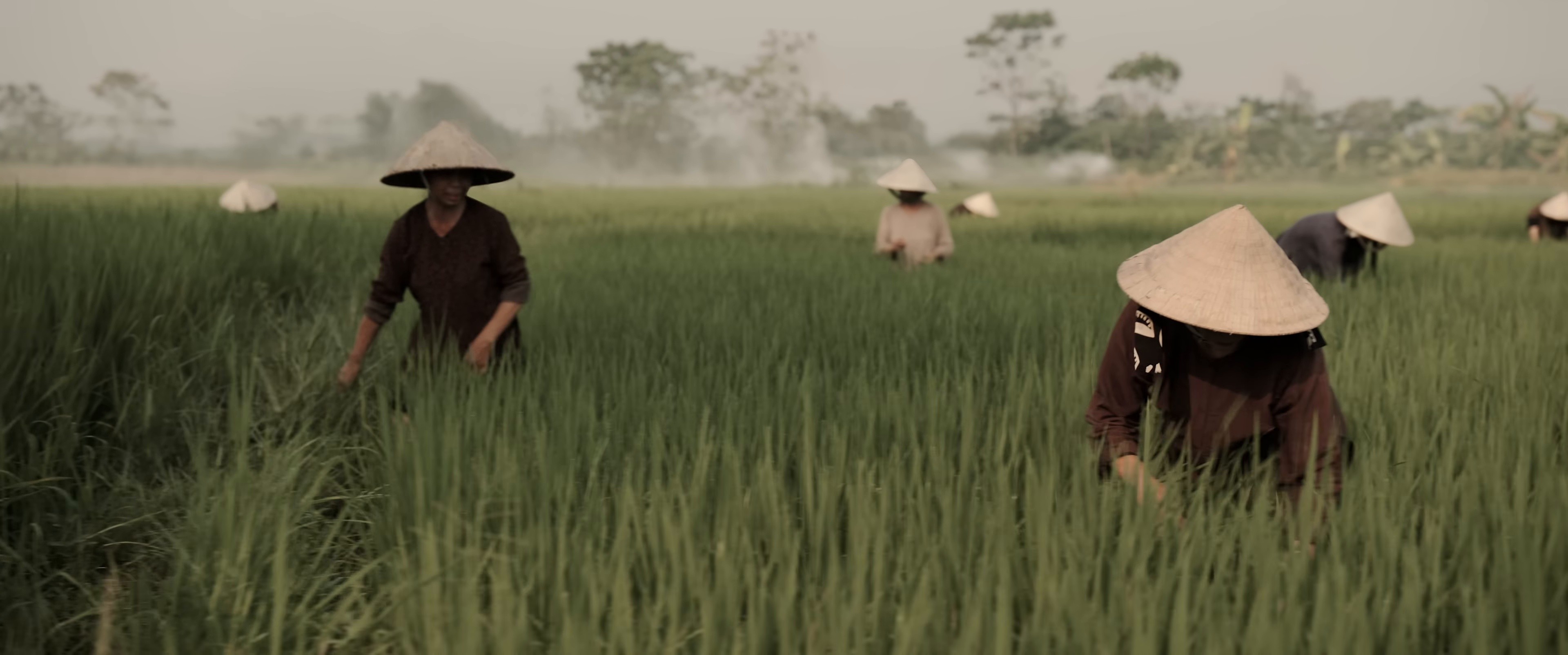 NỖI ĐAU GIỮA HÒA BÌNH (2025) —  shot,  lighting