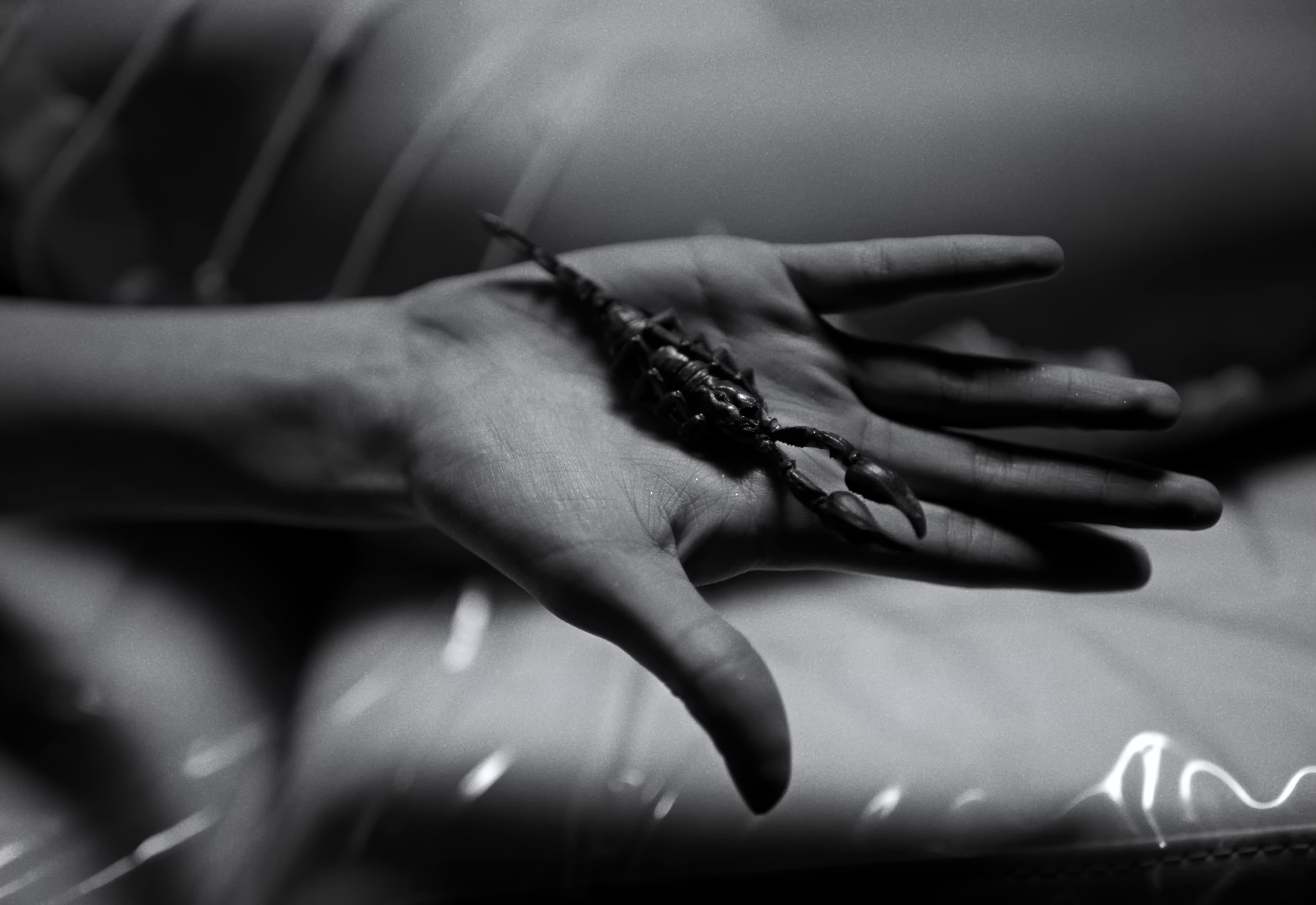 Degenerate (2024) —  shot,  lighting