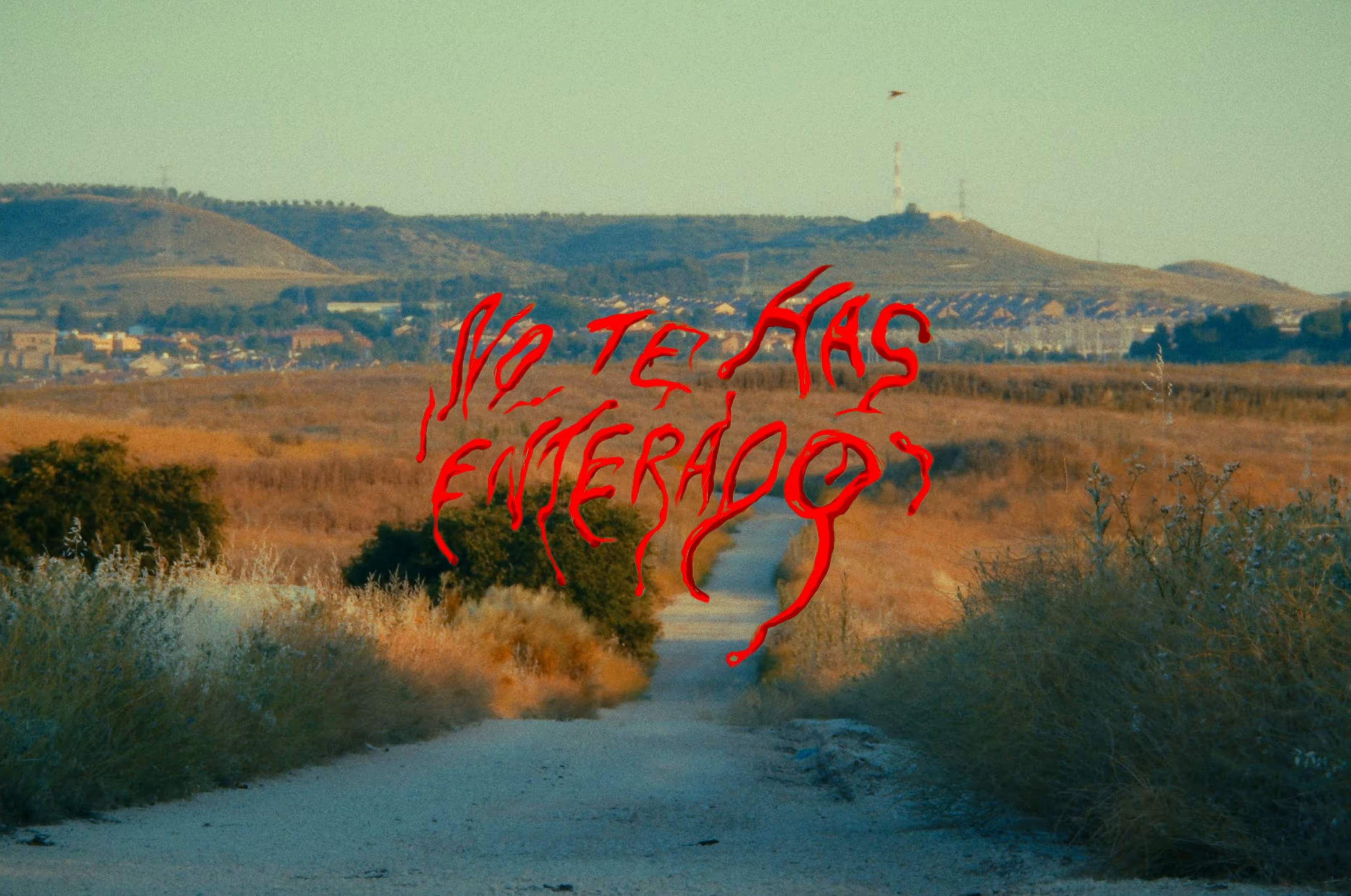 No te has enterado (2024) —  shot,  lighting