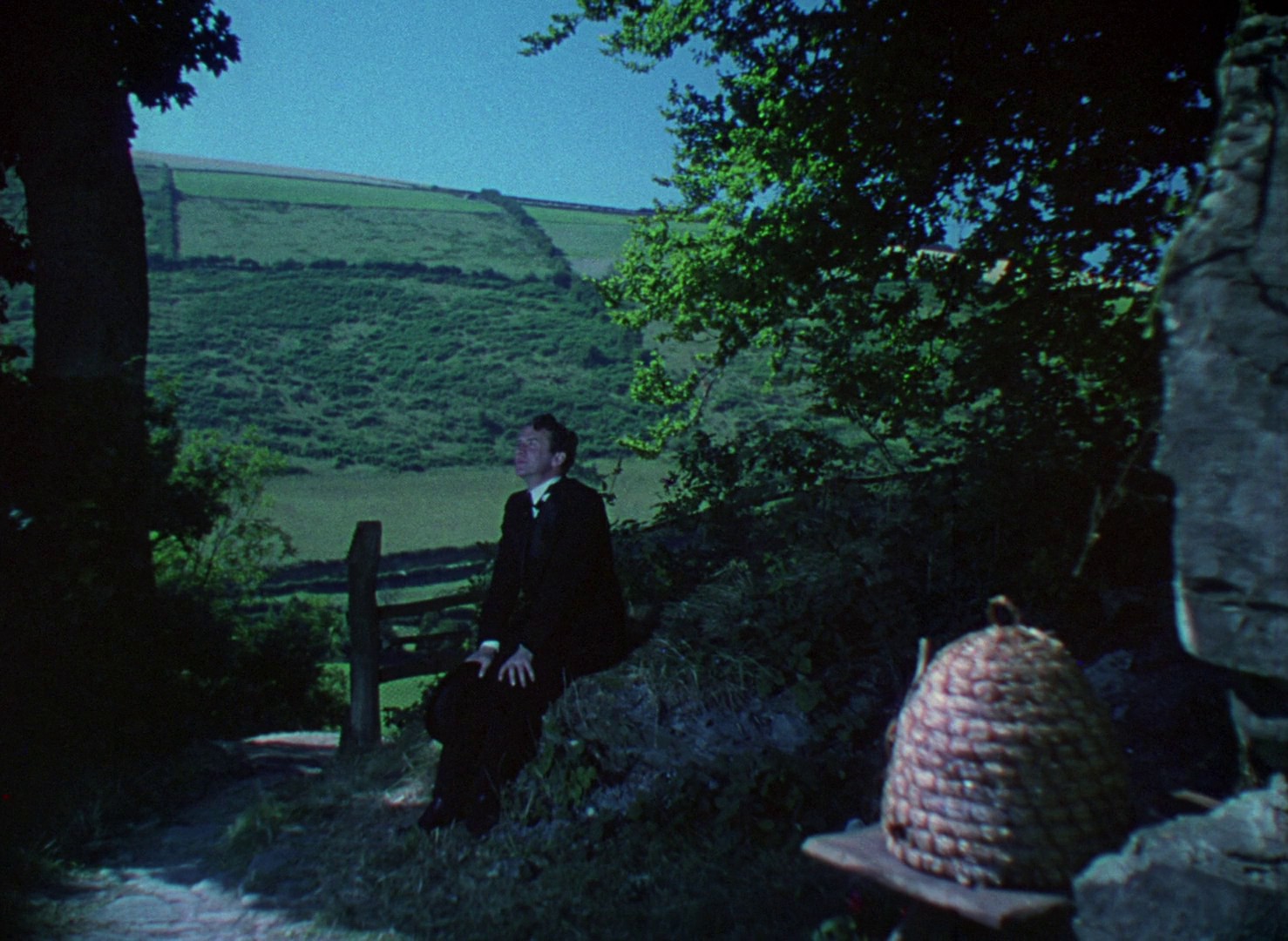 Gone to Earth (1950) —  shot,  lighting