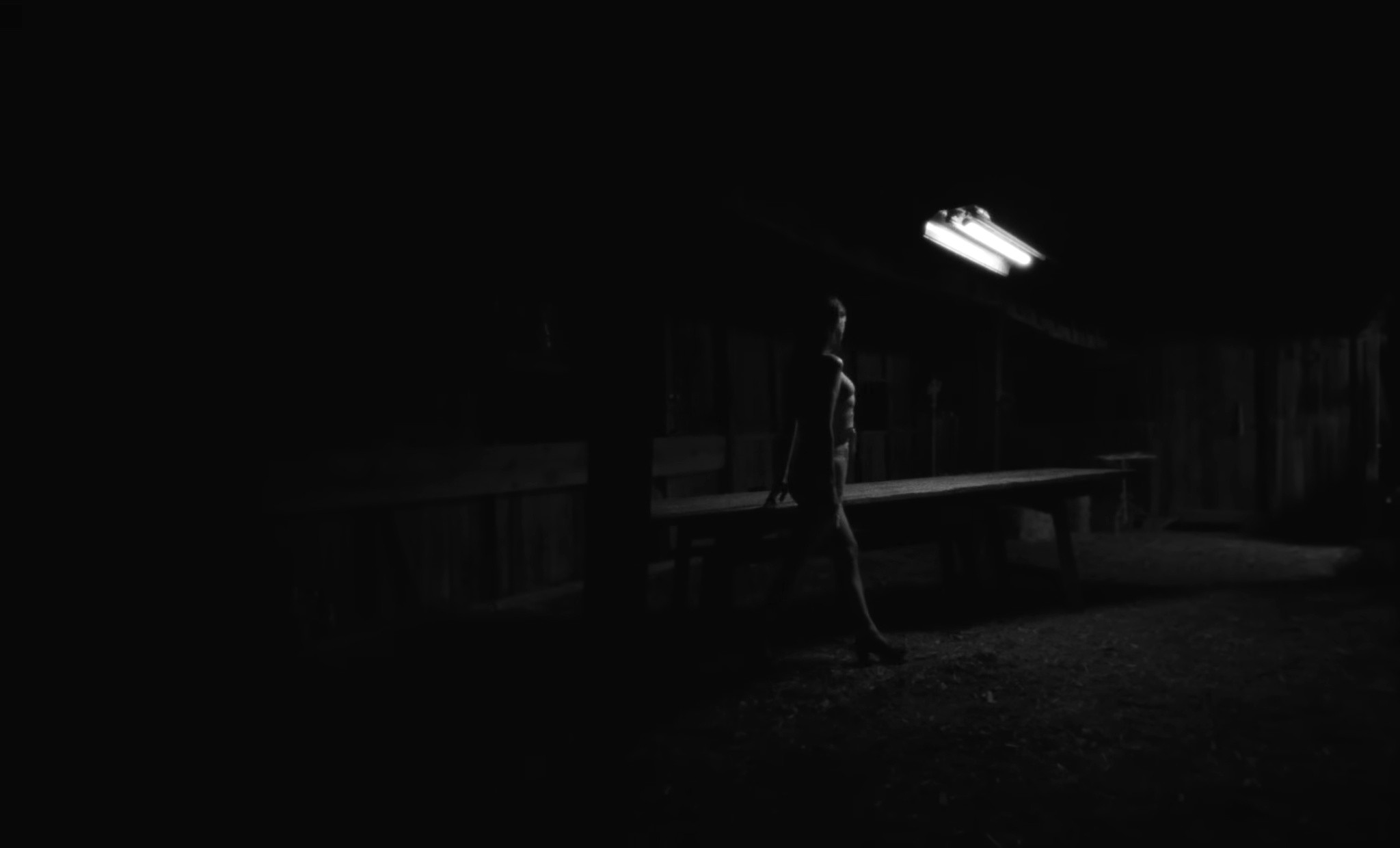 Vacillator (2025) —  shot,  lighting