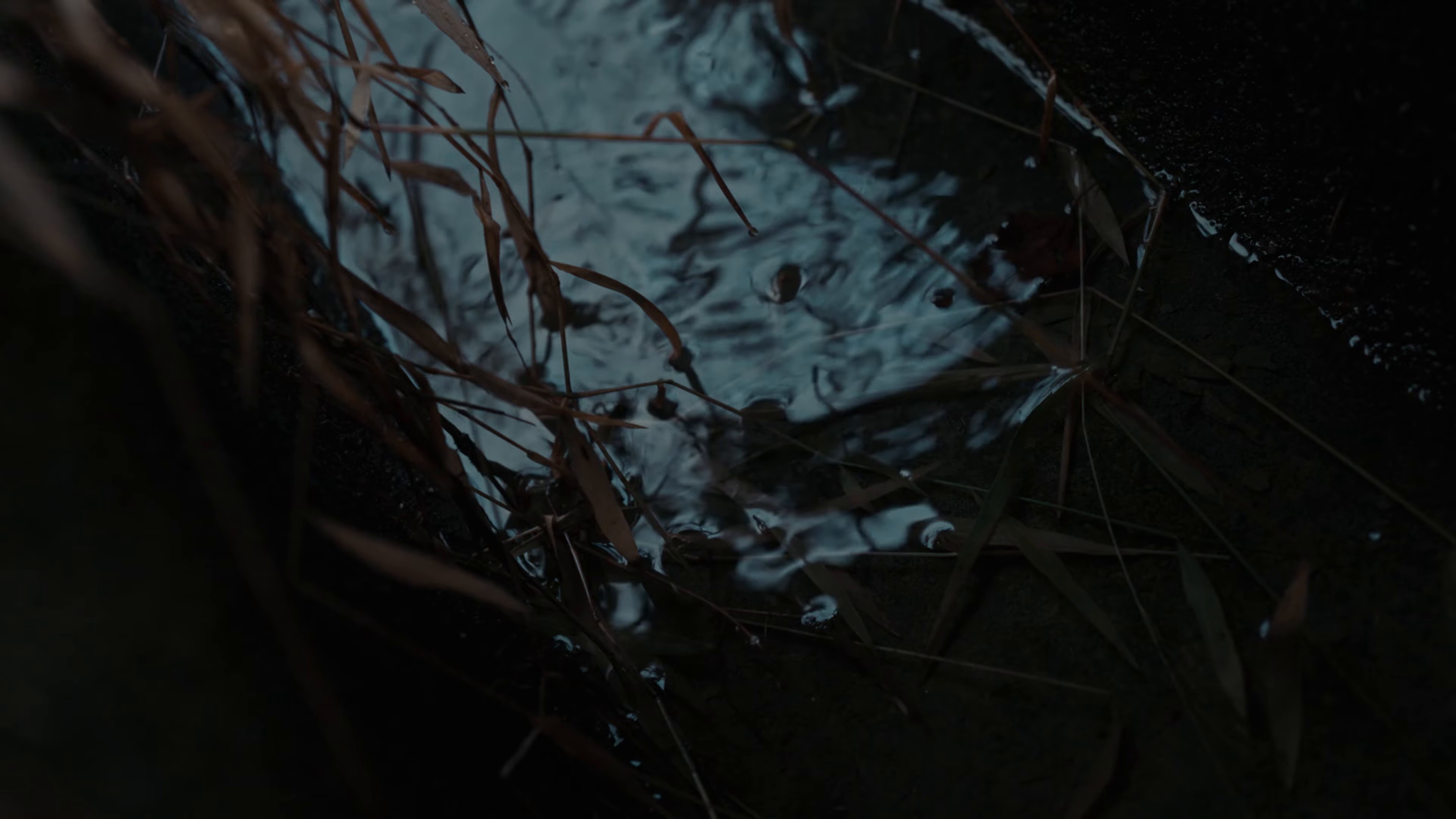 tenk(e)i (2026) —  shot,  lighting