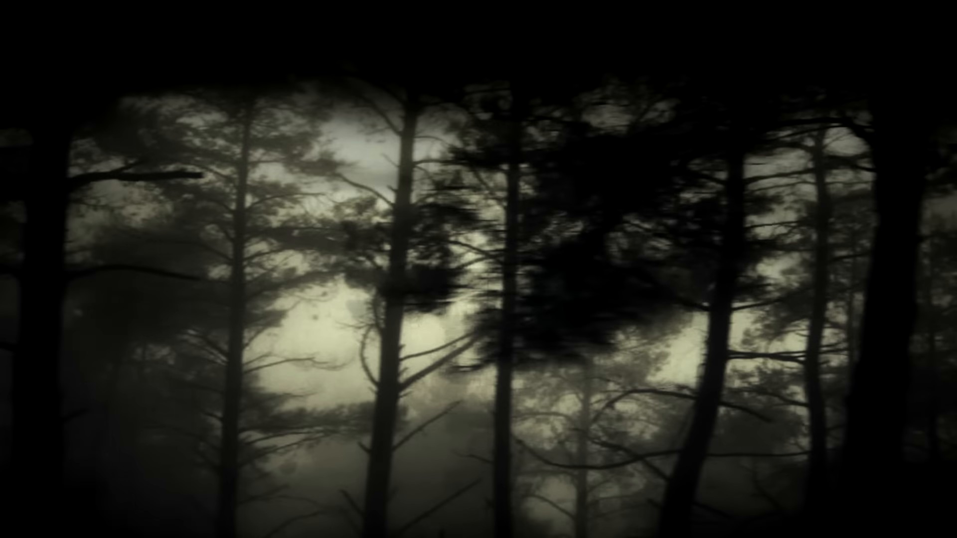 Shadows (2022) —  shot,  lighting