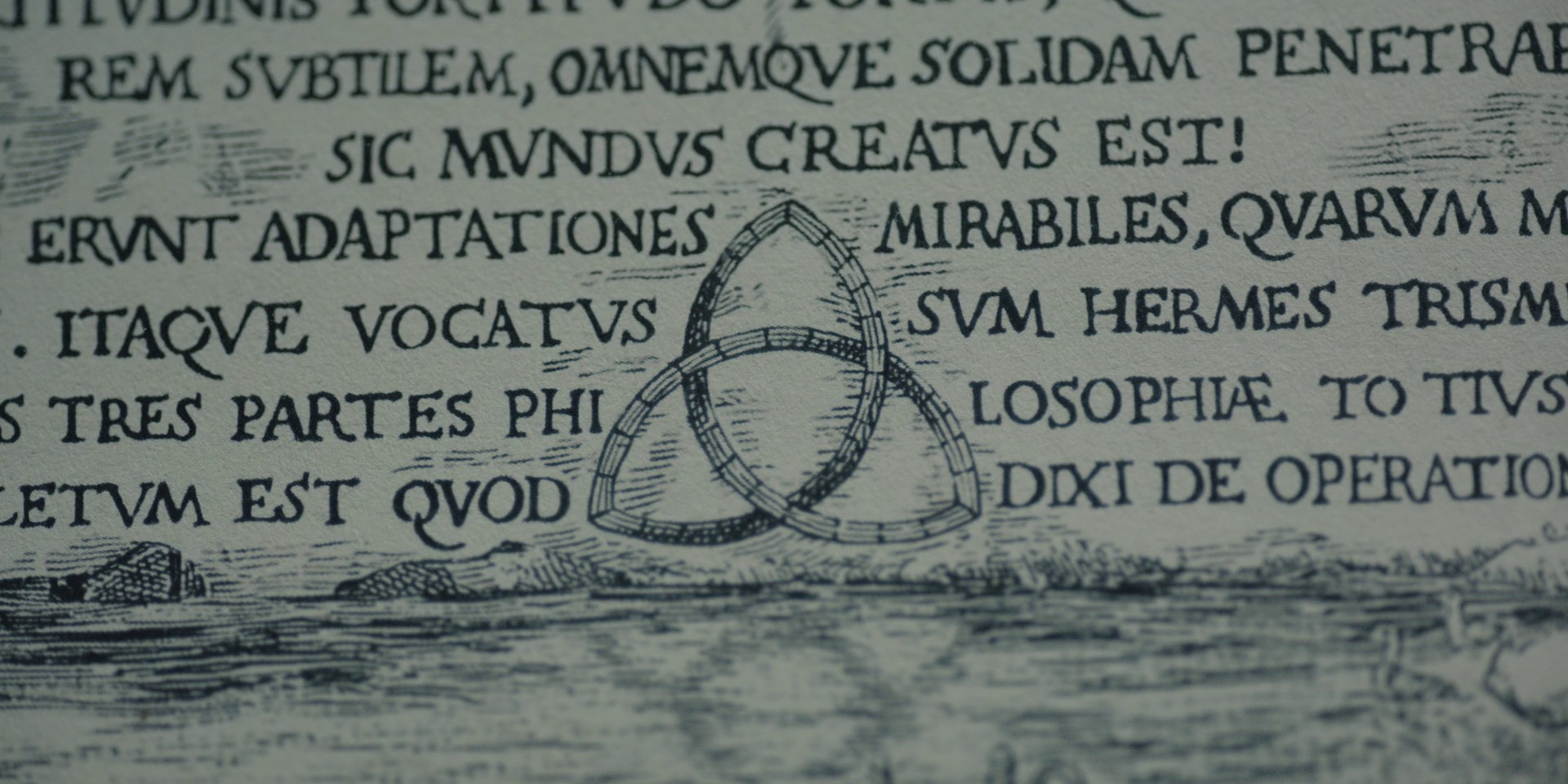 Double Lives (2017) —  shot,  lighting