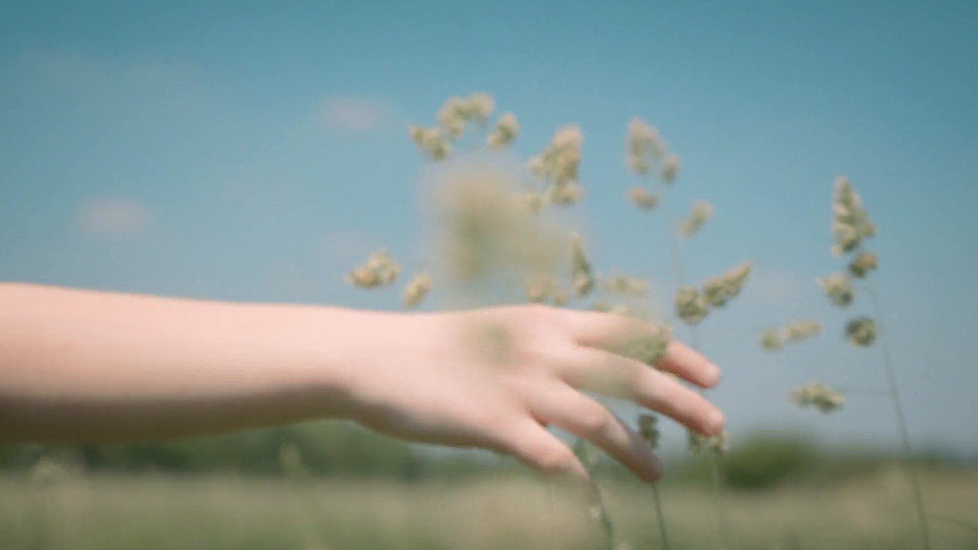 Saugella (2020) —  shot,  lighting