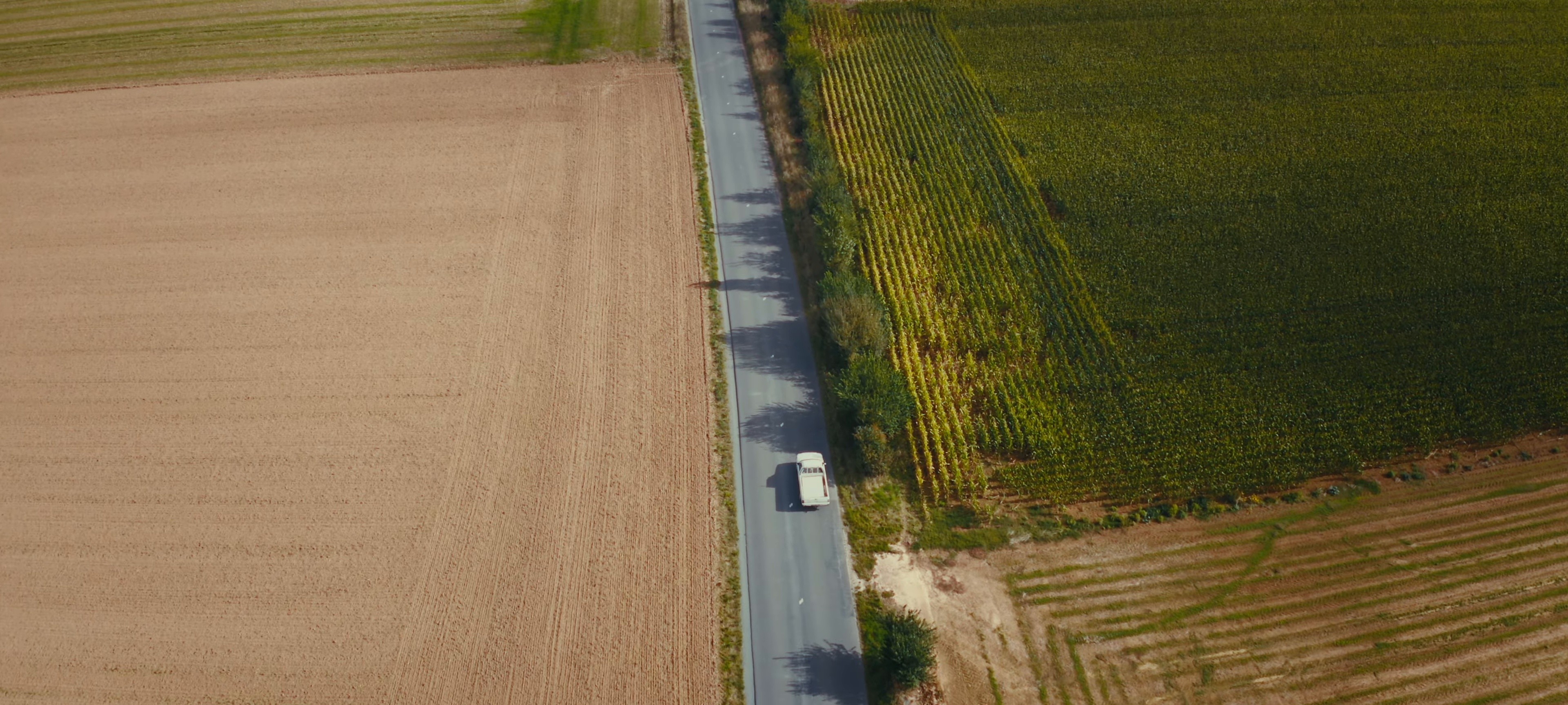 Tout ira bien (2024) —  shot,  lighting