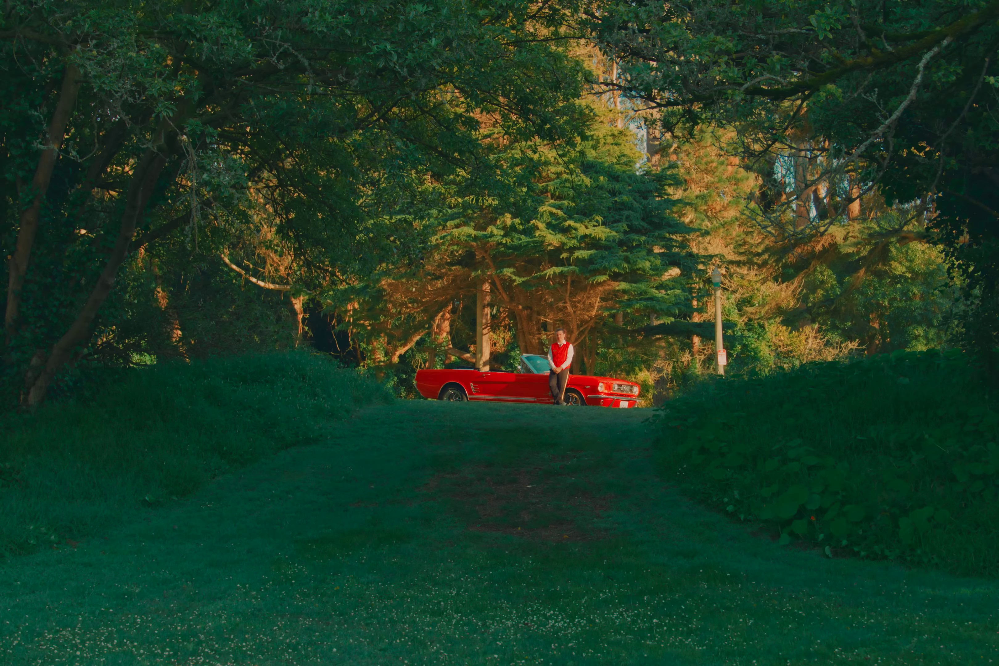 Take Carra Me (2024) —  shot,  lighting