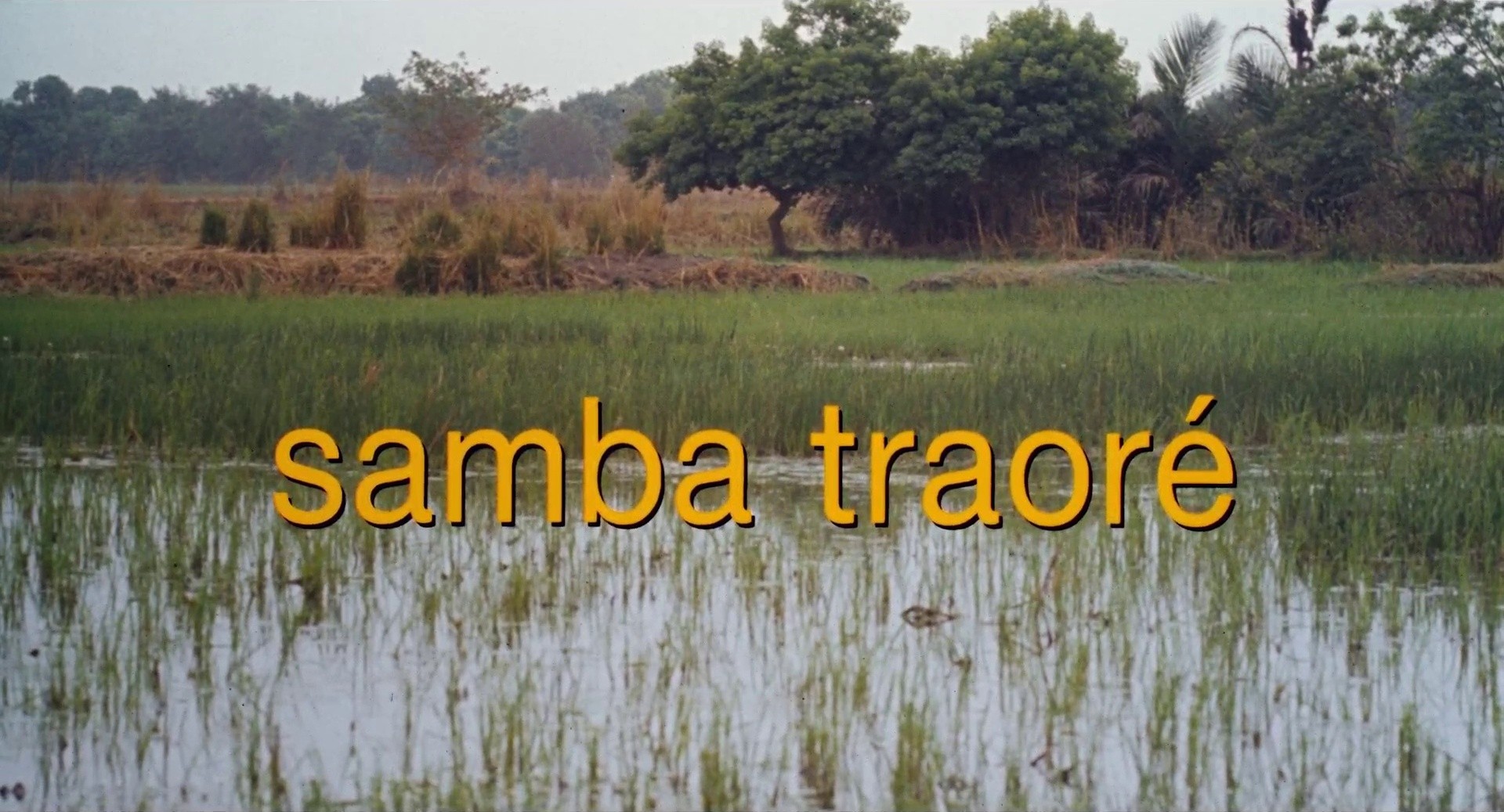 Samba Traoré (1993) —  shot,  lighting