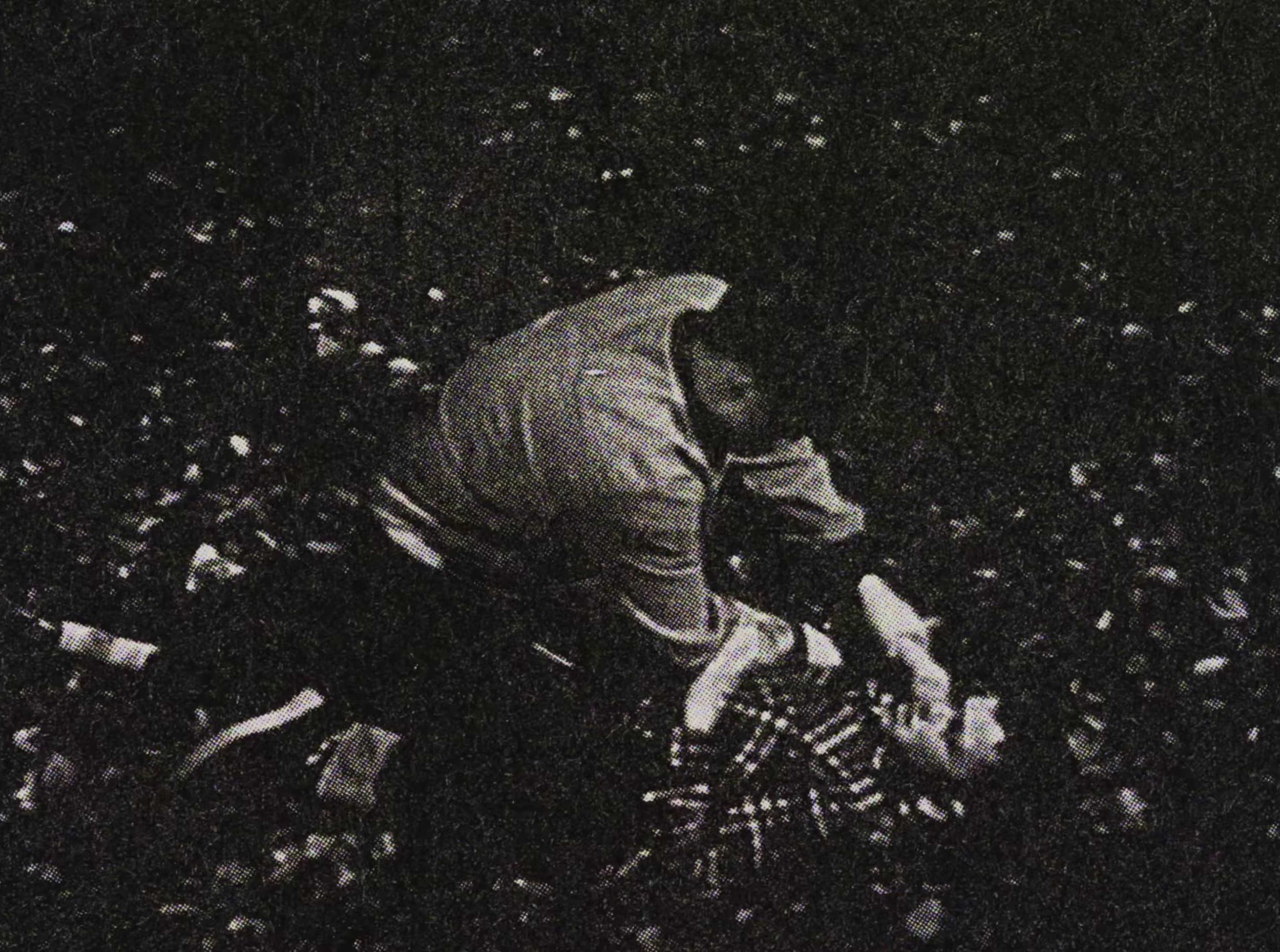 boys, bugs and men (2024) —  shot,  lighting