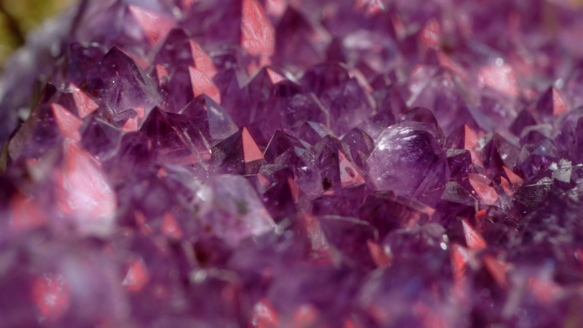 What Holds (2022) —  shot,  lighting