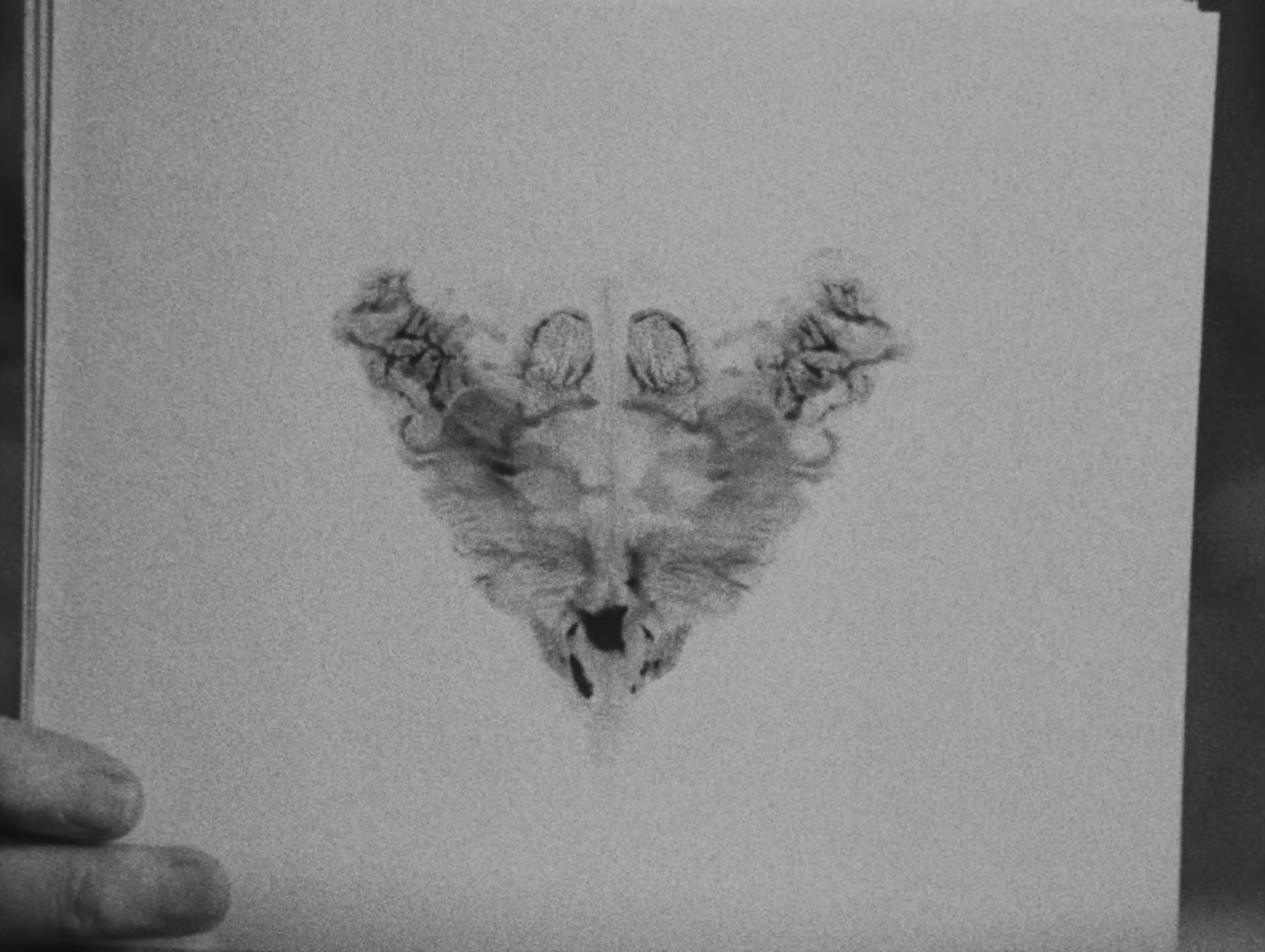 (Isn’t It) Obvious (2024) —  shot,  lighting