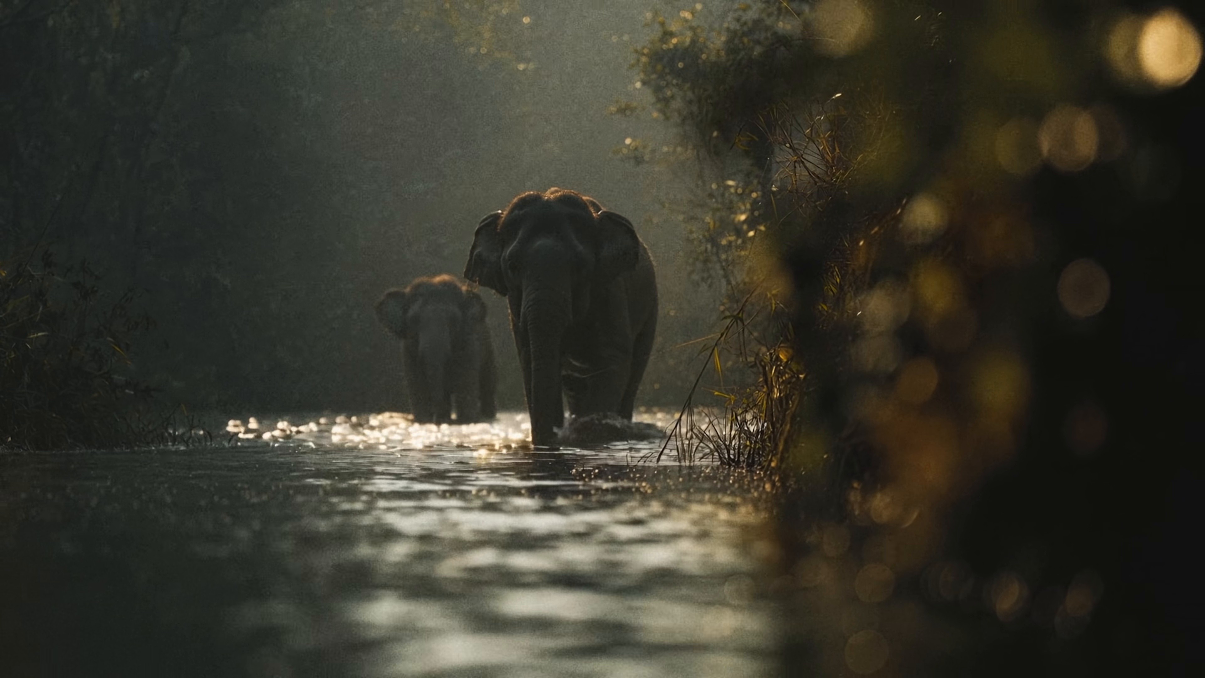 Sublife (2025) —  shot,  lighting