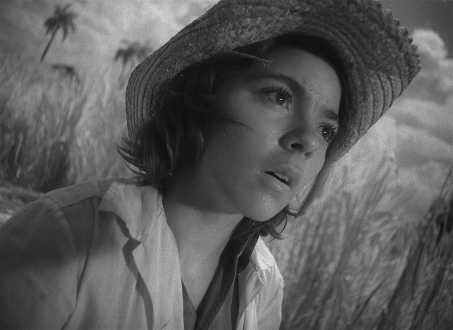 Soy Cuba (1964) —  shot,  lighting