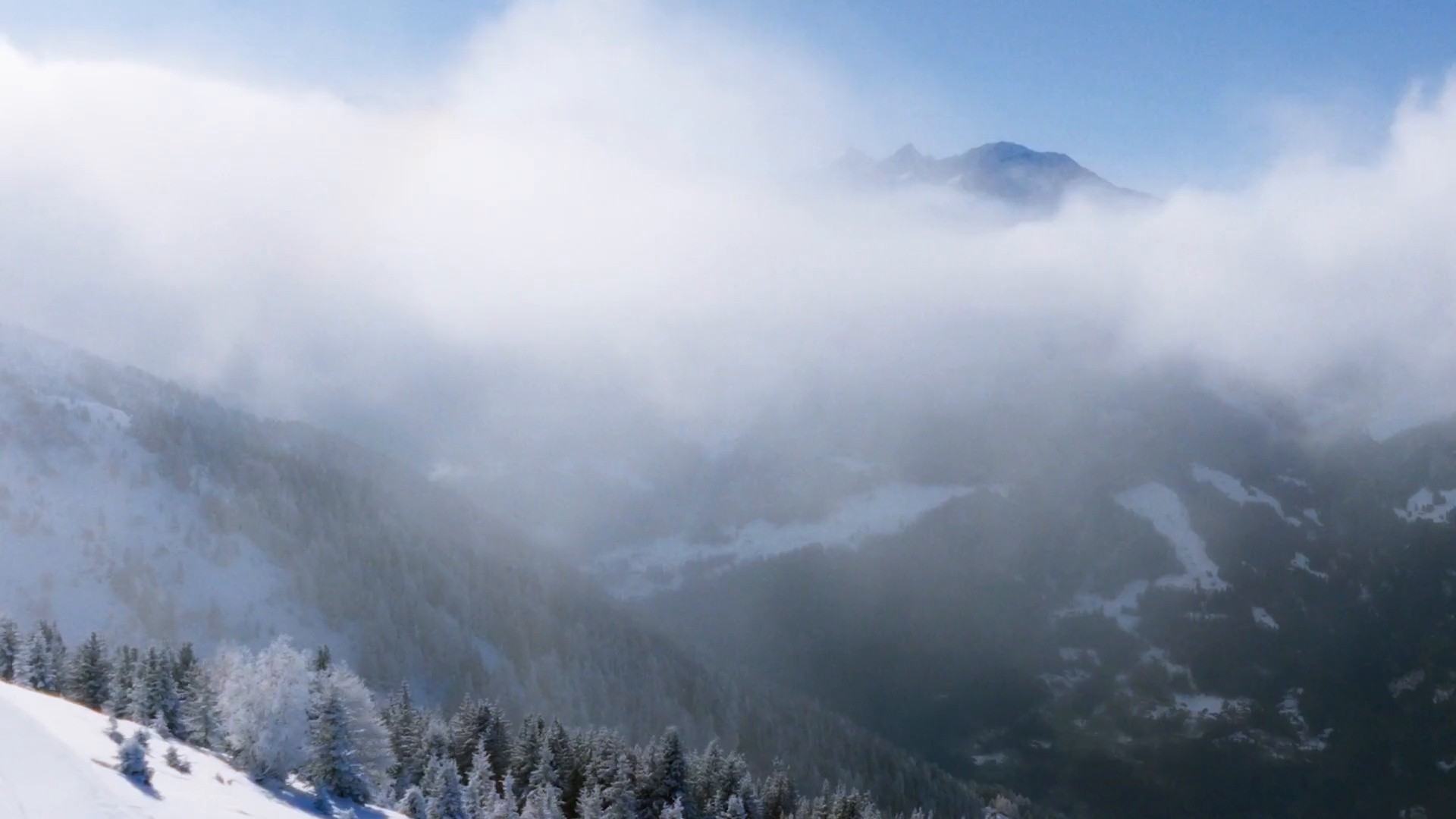 MASSIMO DUTTI - STINI ROEHRS (2025) —  shot,  lighting