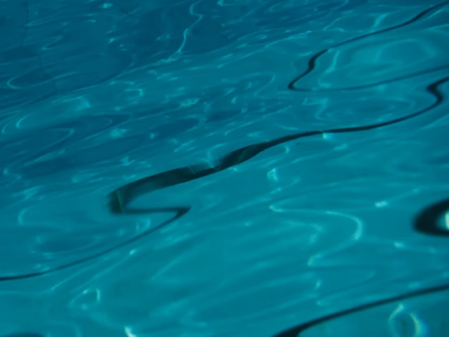 Just My Luck (2024) —  shot,  lighting