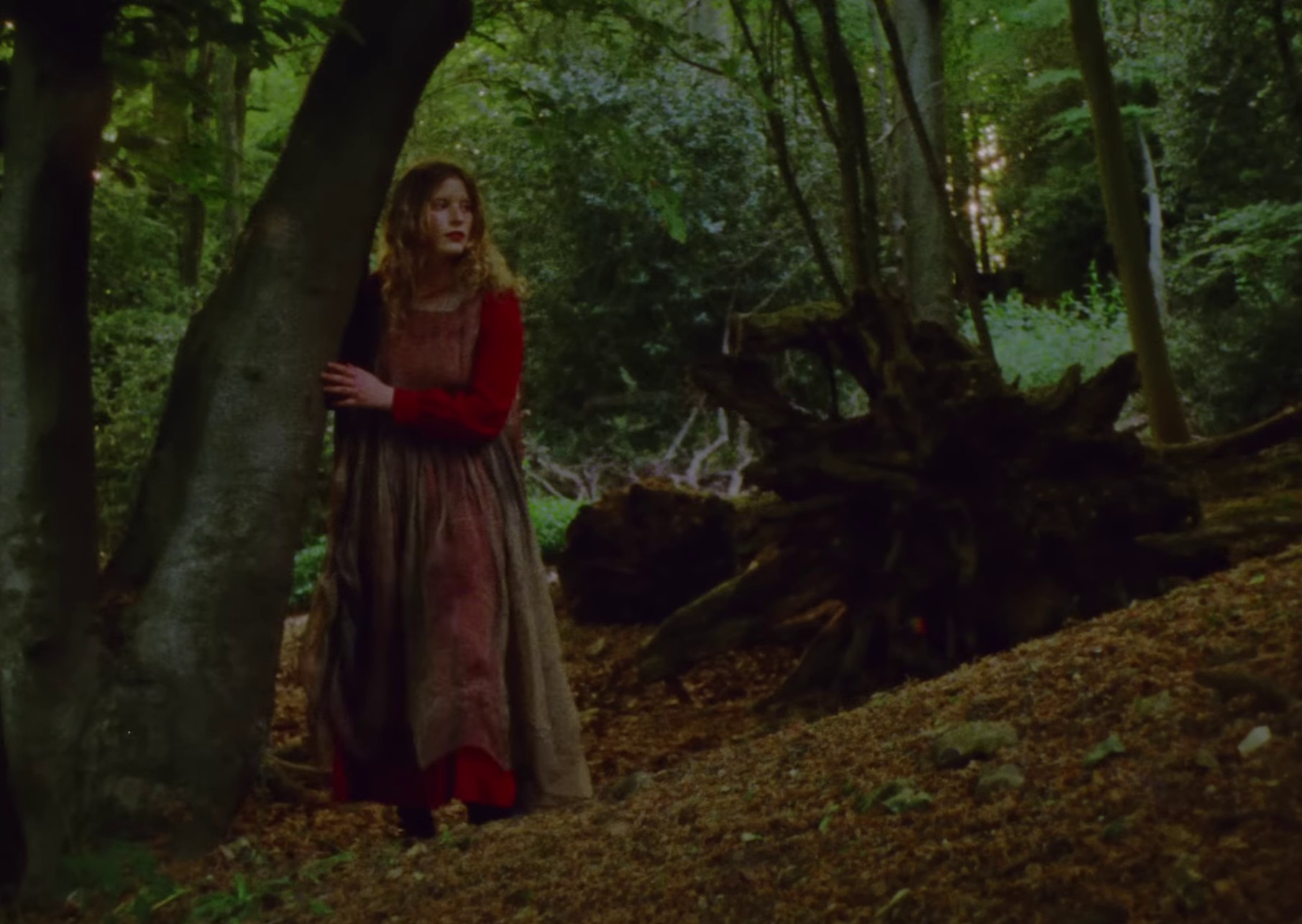 Yeti (2023) —  shot,  lighting