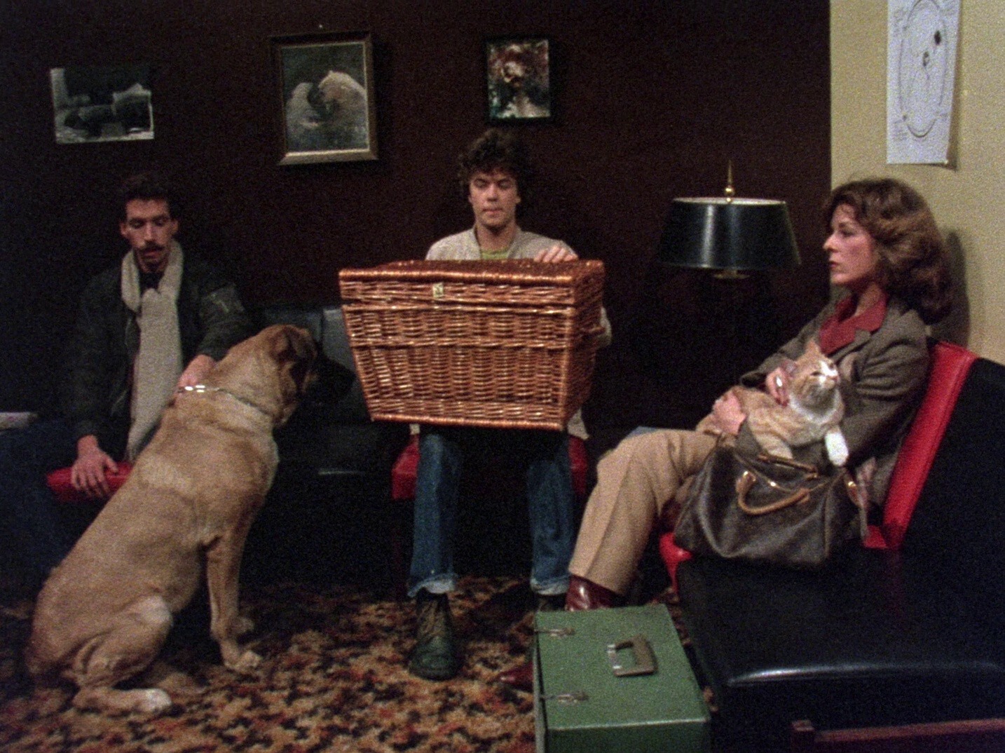 Basket Case (1982) —  shot,  lighting