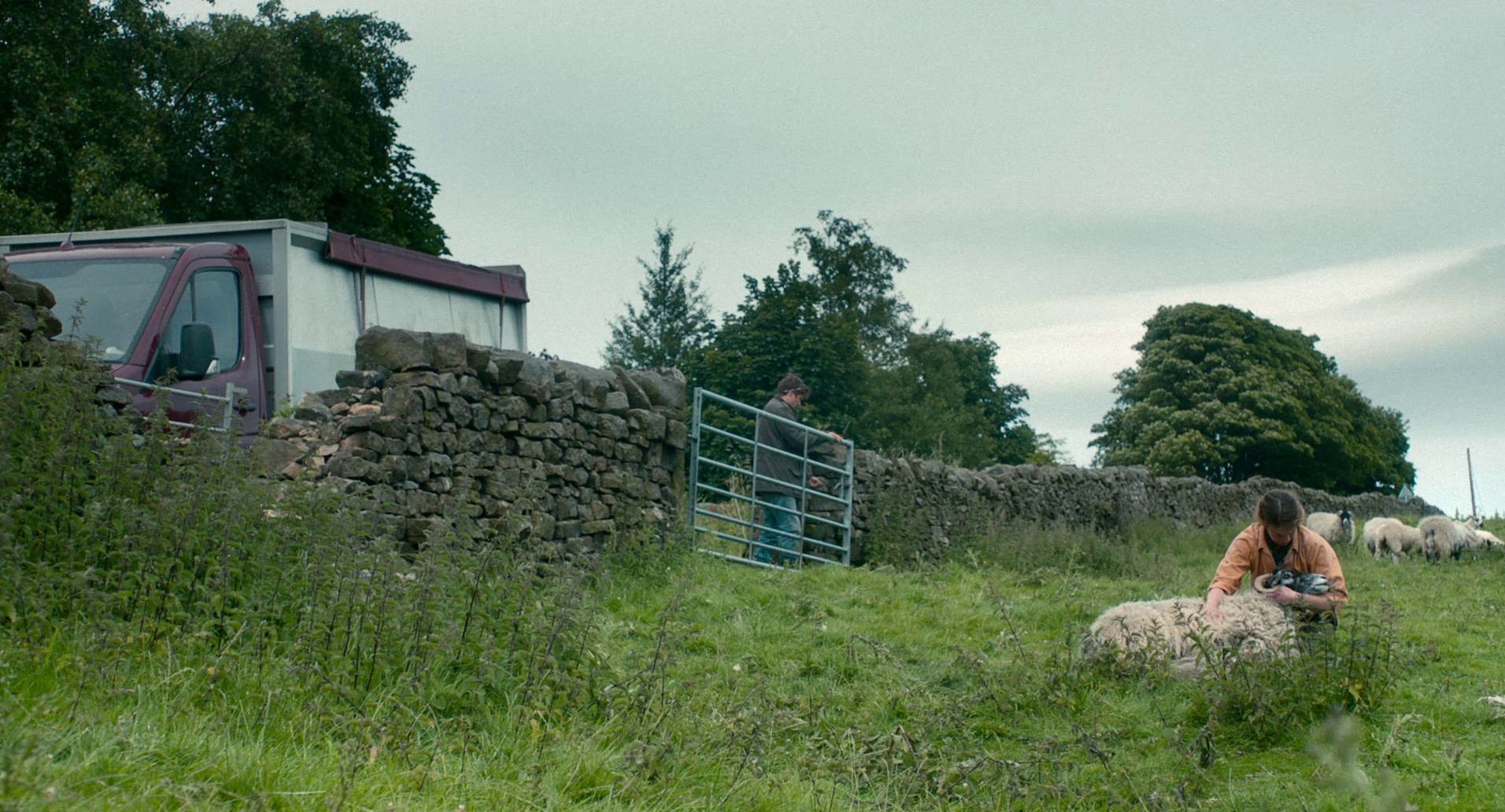 Dark River (2017) —  shot,  lighting